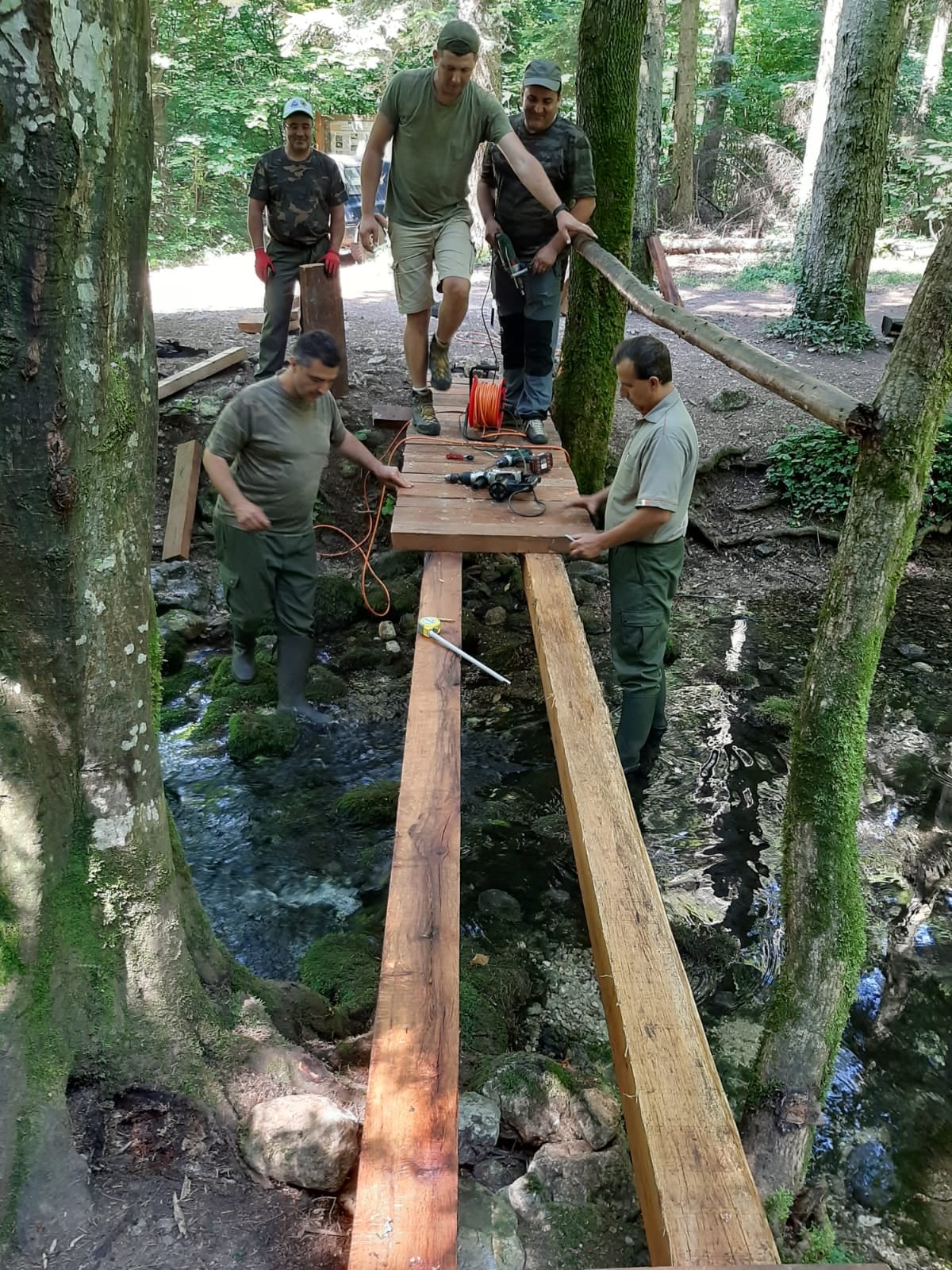 poduri Parcul Național Cheile Nerei-Beușnița(29)