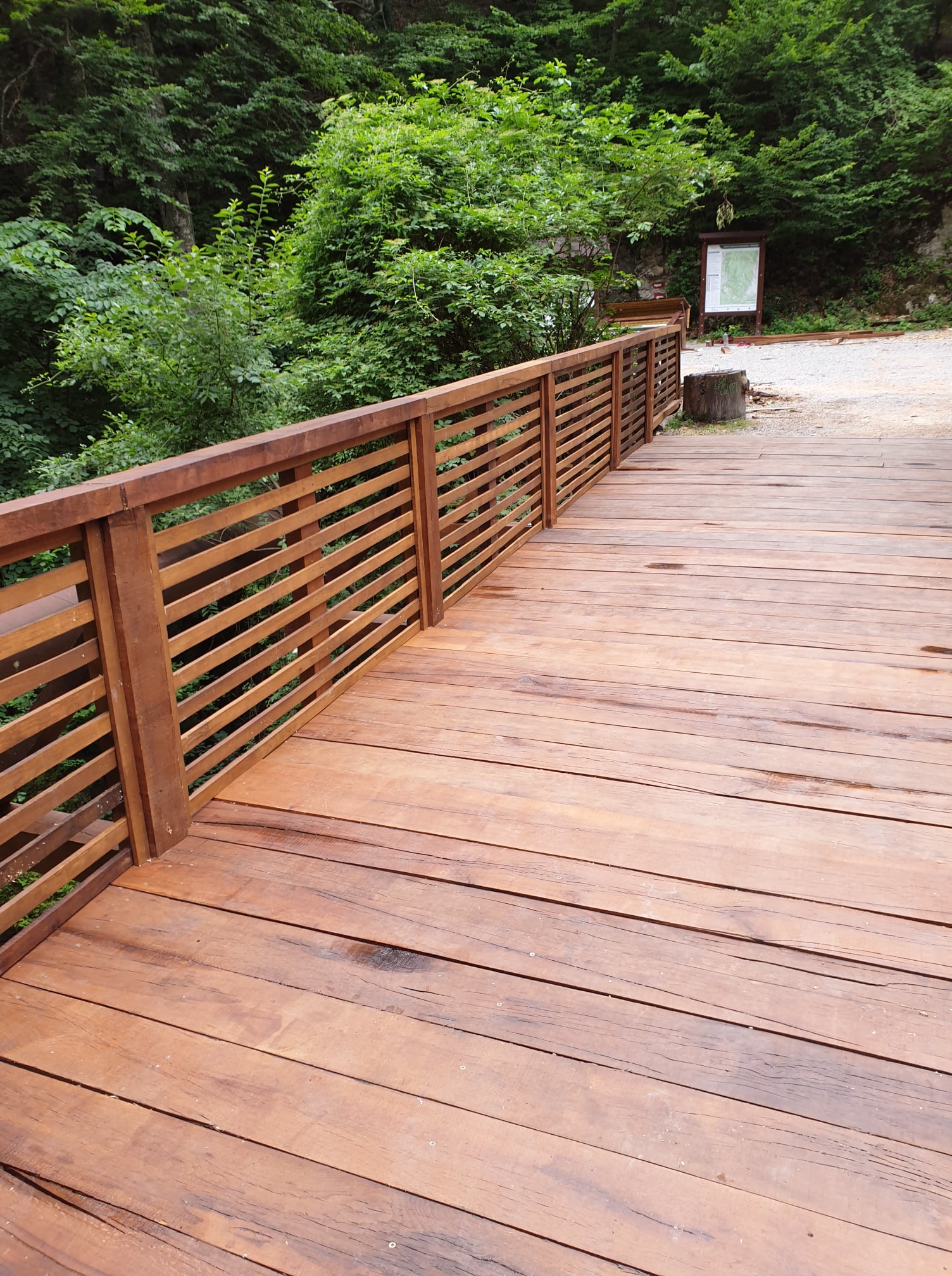 poduri Parcul Național Cheile Nerei-Beușnița(31)