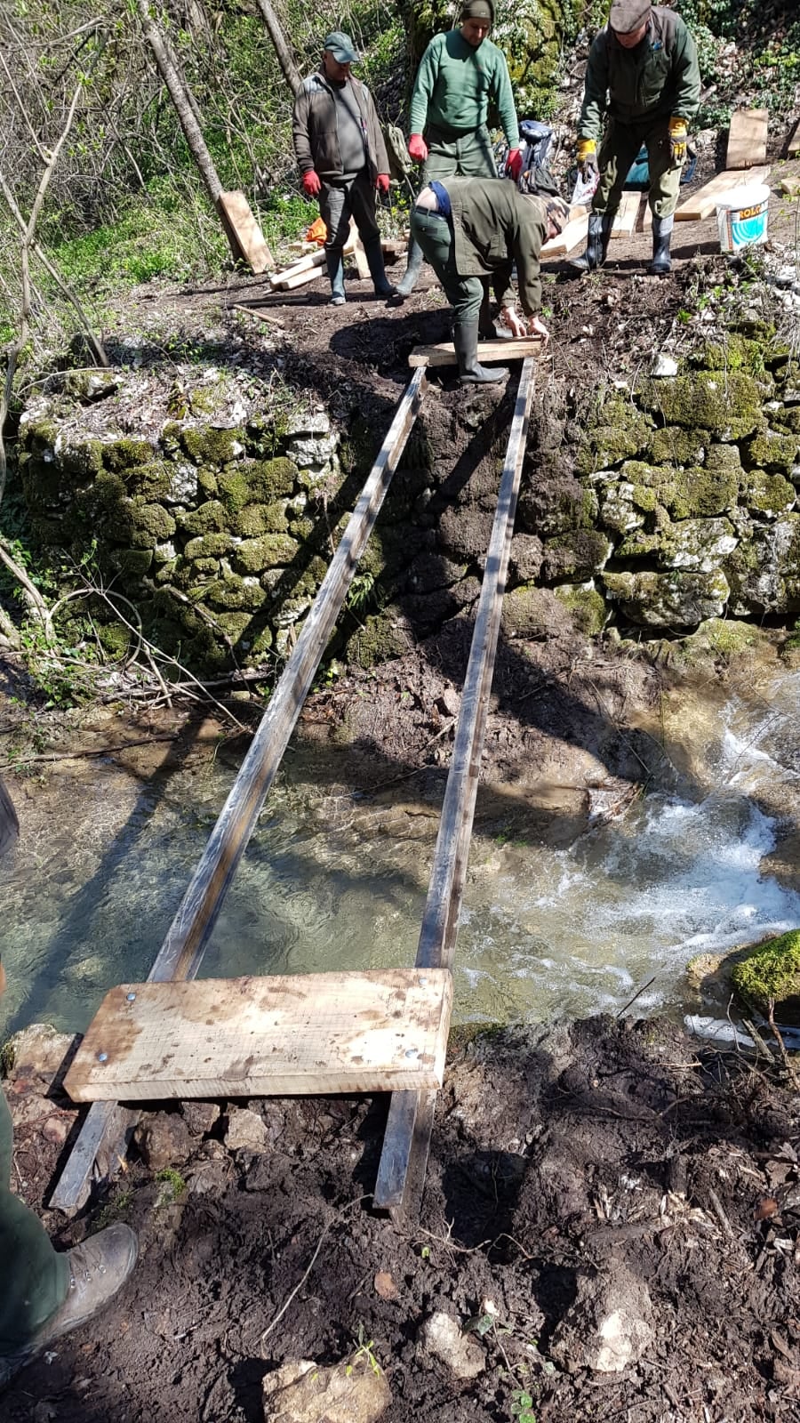 poduri Parcul Național Cheile Nerei-Beușnița(32)