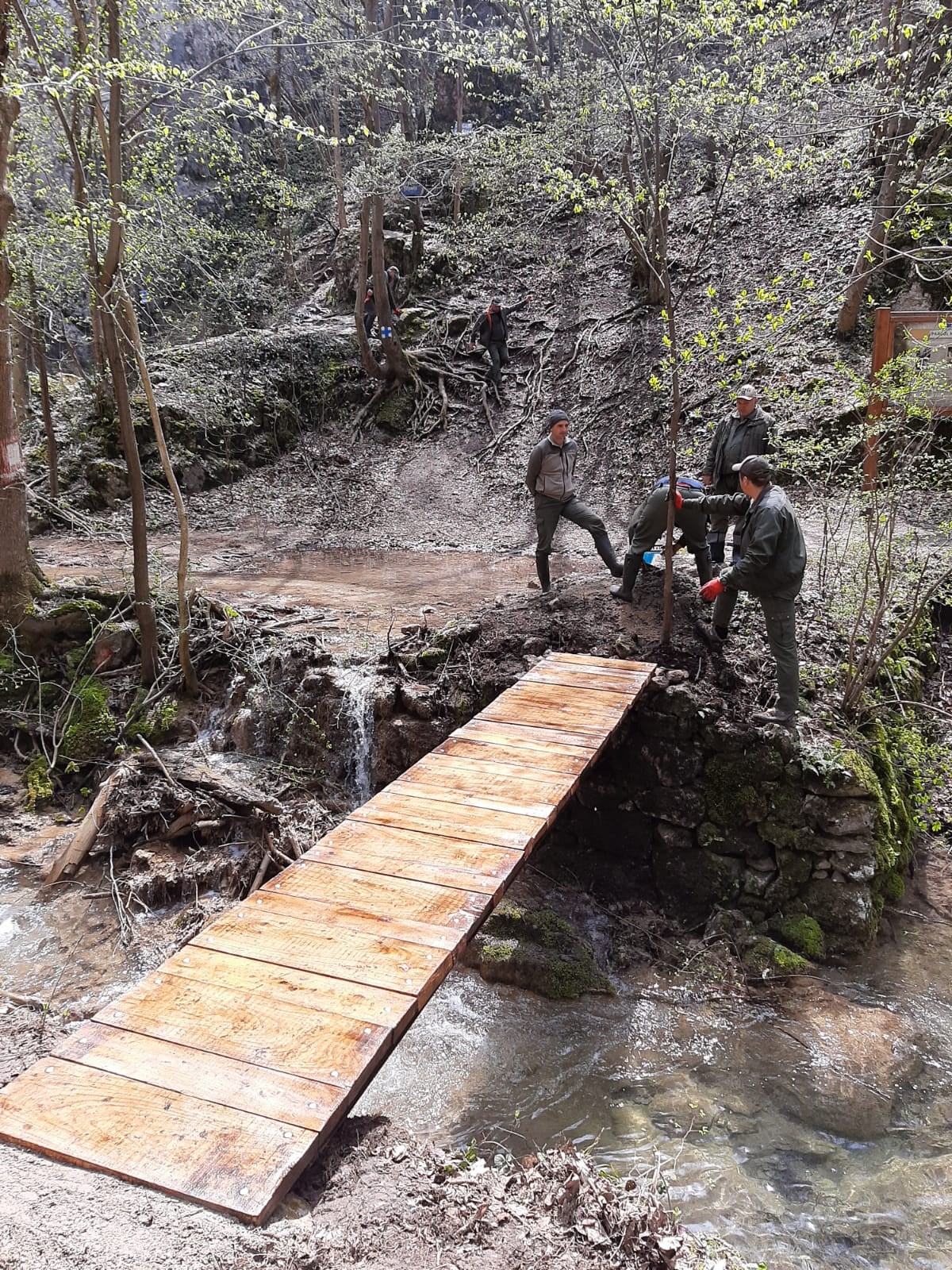 poduri Parcul Național Cheile Nerei-Beușnița(37)