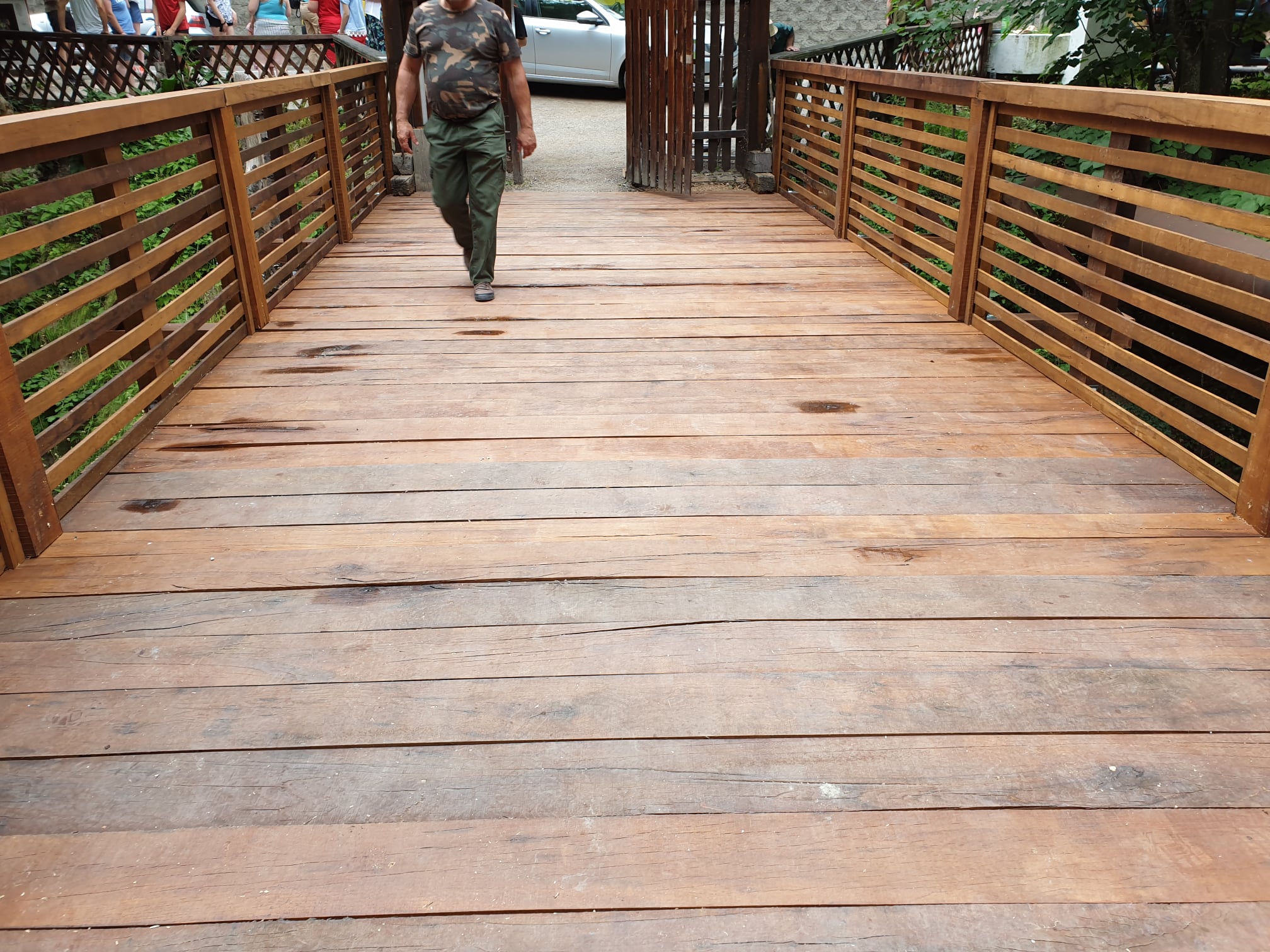 poduri Parcul Național Cheile Nerei-Beușnița(40)