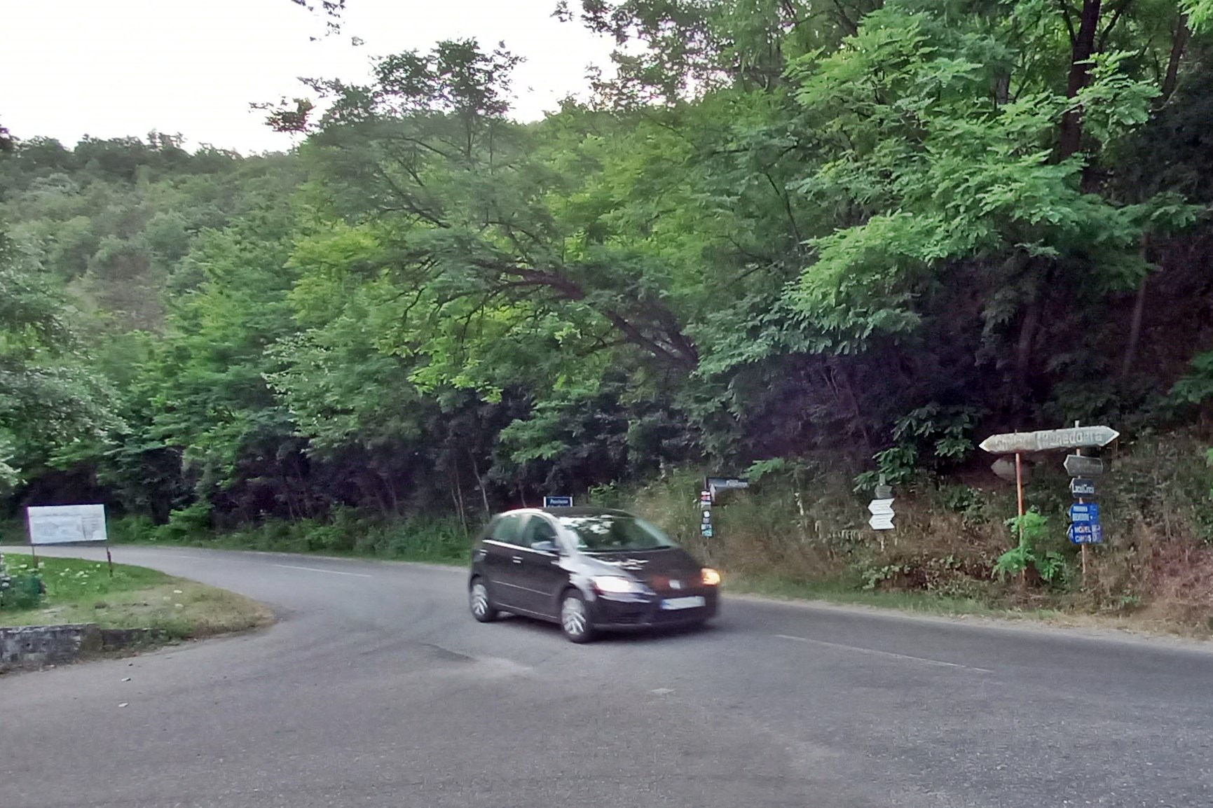 Lacul Cincis Hunedoara iulie 2021 (10)