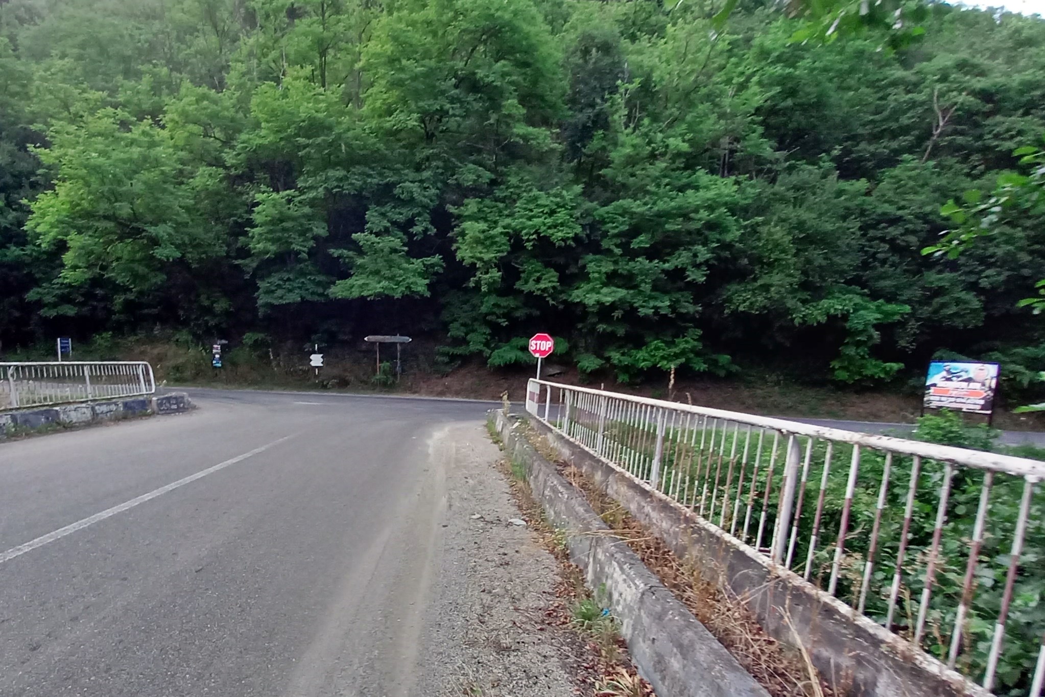 Lacul Cincis Hunedoara iulie 2021 (9)