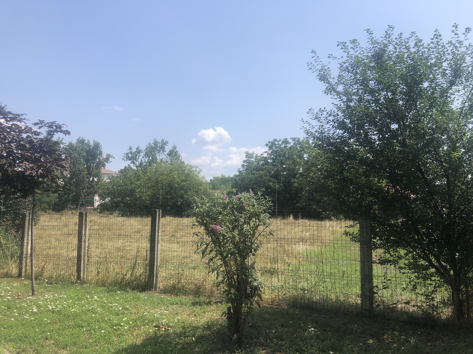 maternitate noua spitalul municipal dominic fritz ghinea ministrul investitiilor 1