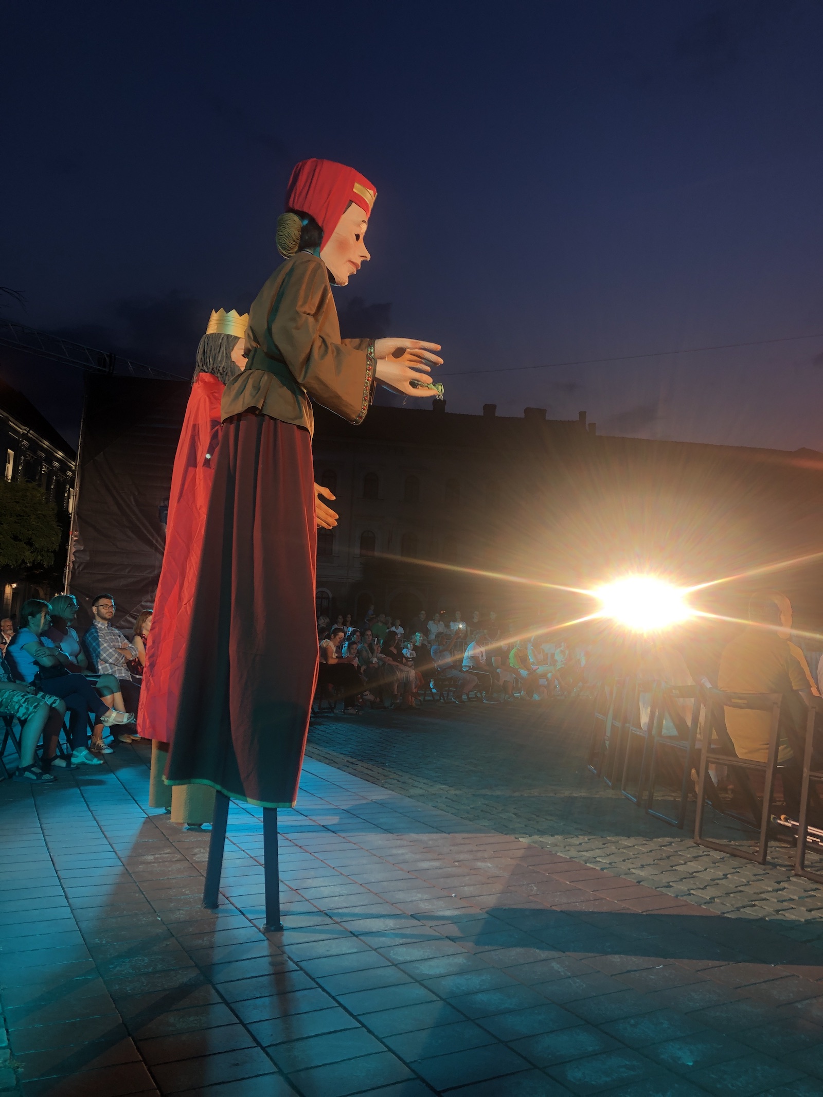 tinerete fara batranete si viata fara de moarte piata libertatii 3