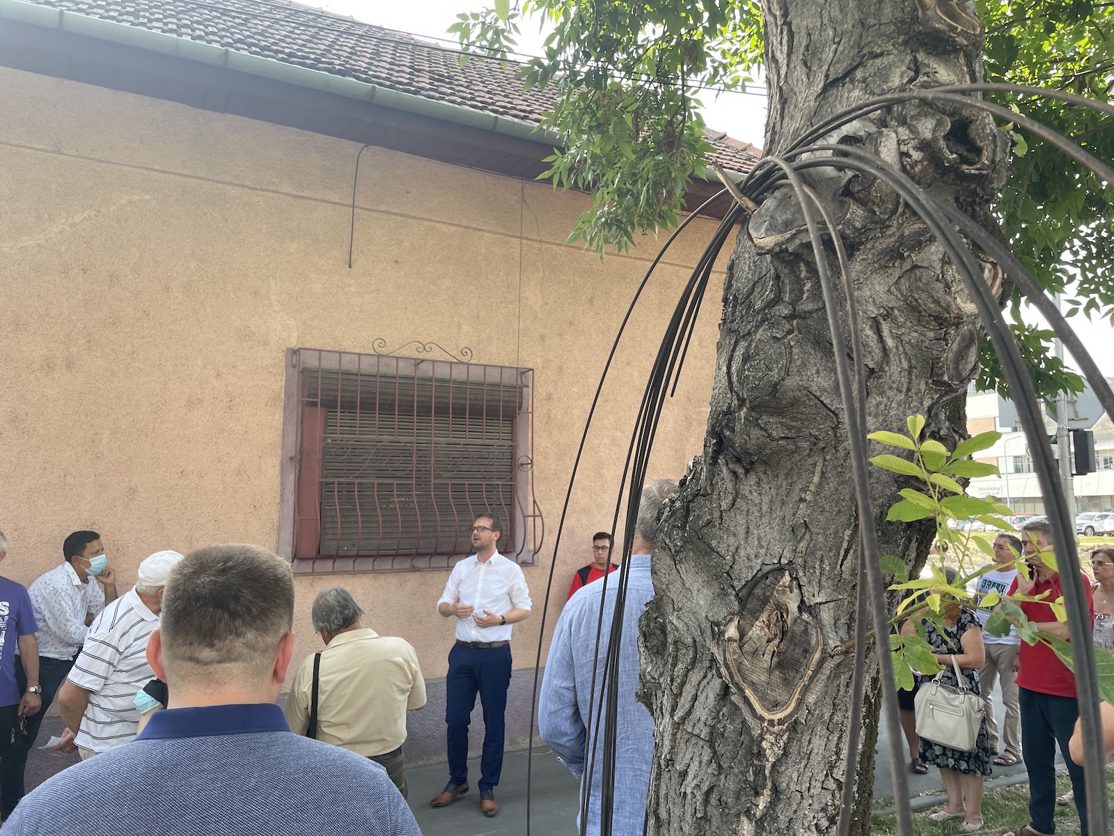 intalnire fritz timisoreni calea bogdanestilor 4