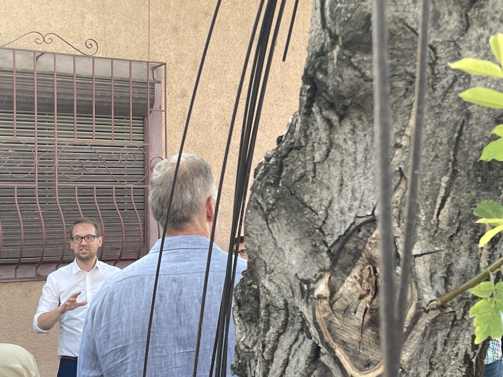 intalnire fritz timisoreni calea bogdanestilor 5