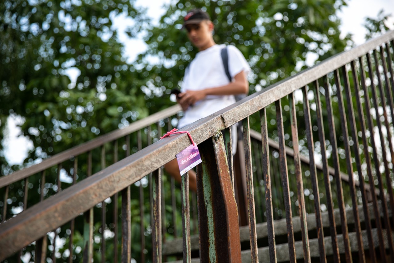 podul de poveste (2)