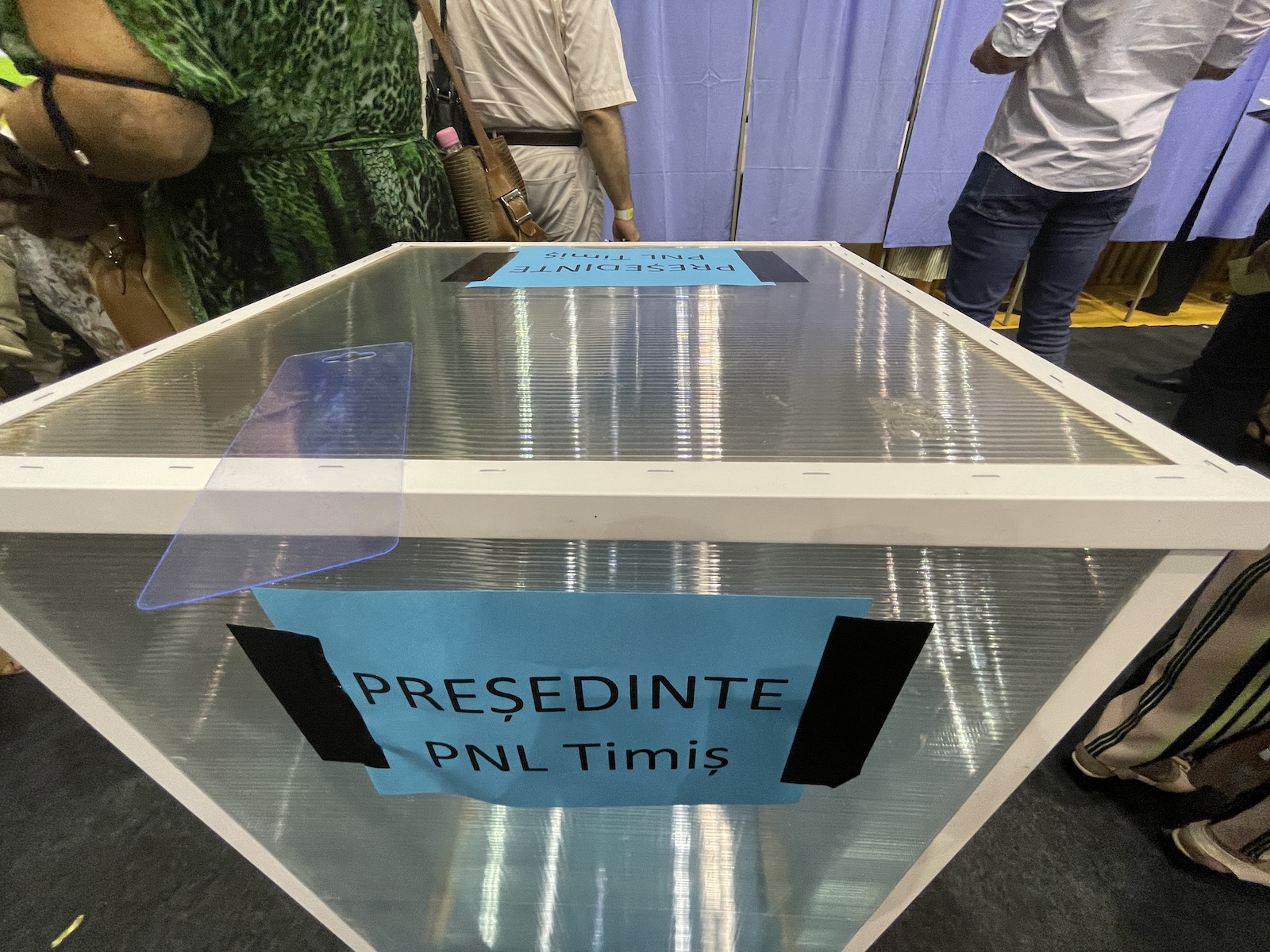 alegeri pnl timis sala olimpia 7