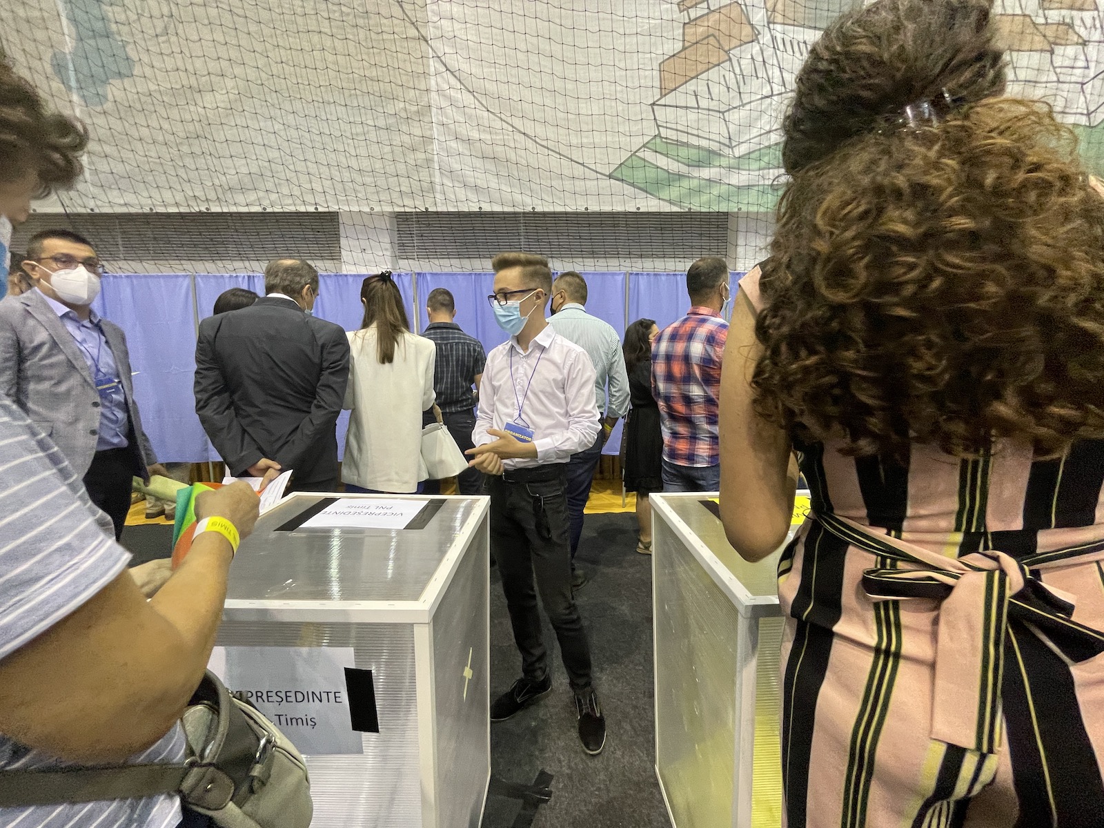 alegeri pnl timis sala olimpia 8