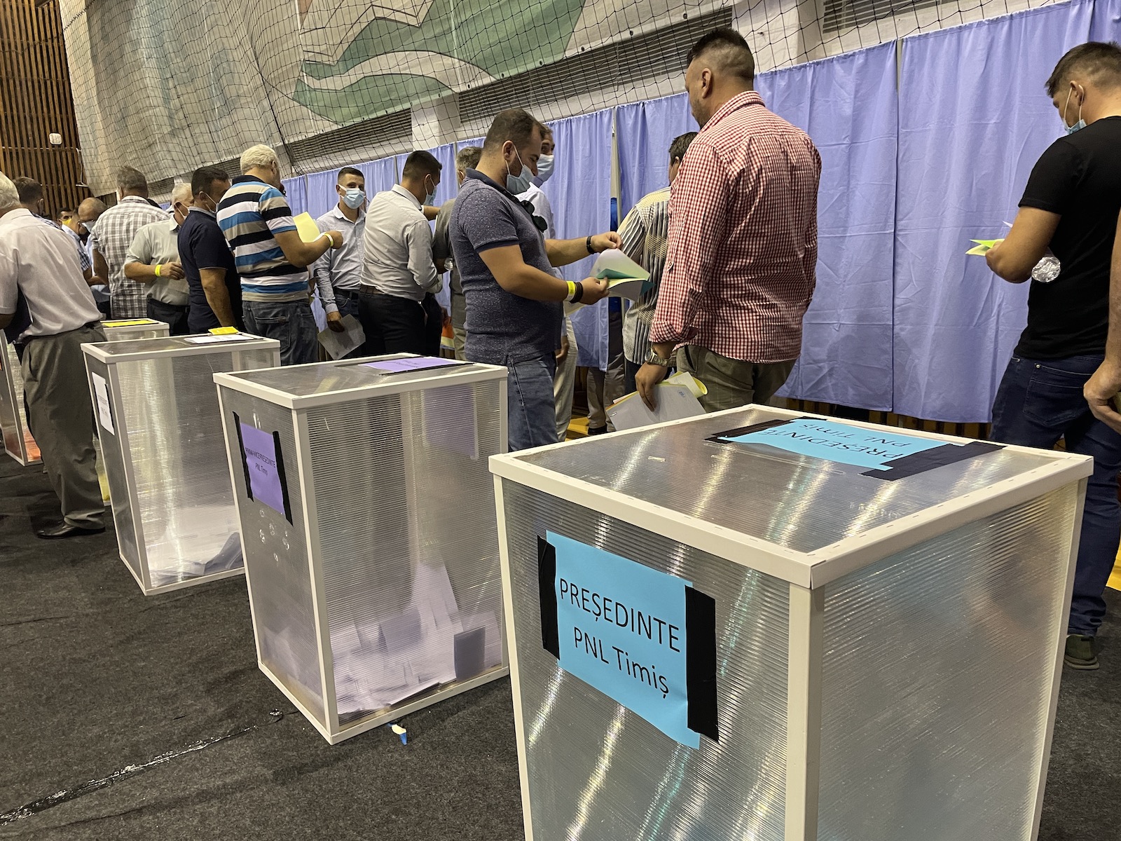 alegeri pnl timis sala olimpia 11