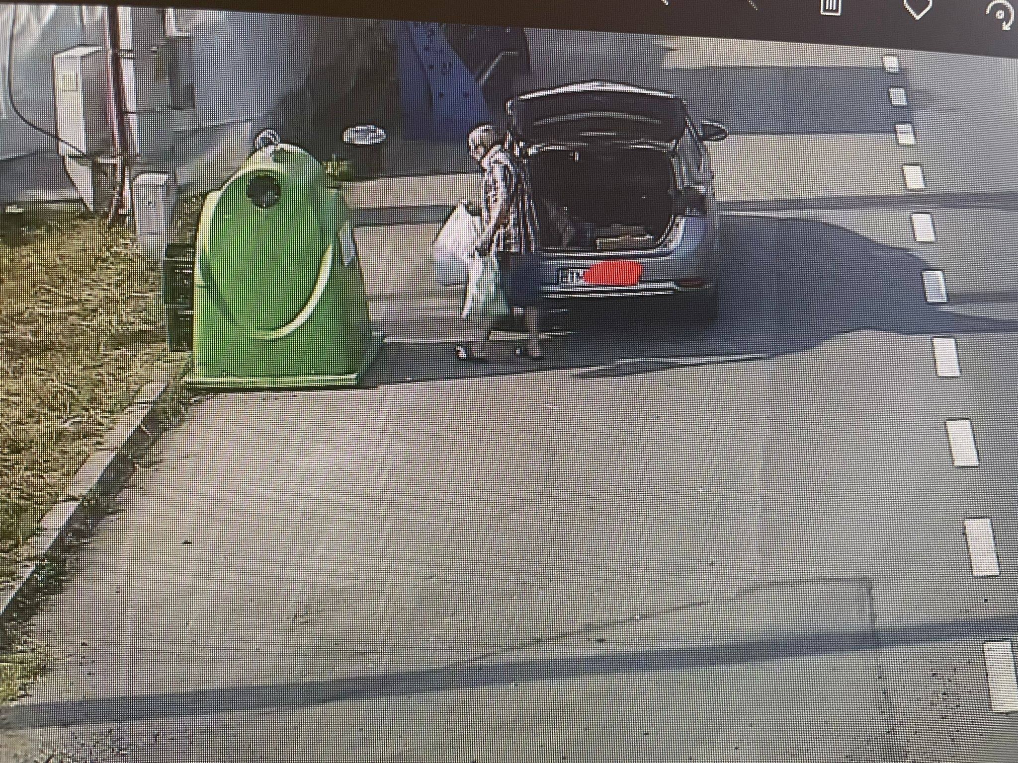 nesimtit gunoi ghiroda