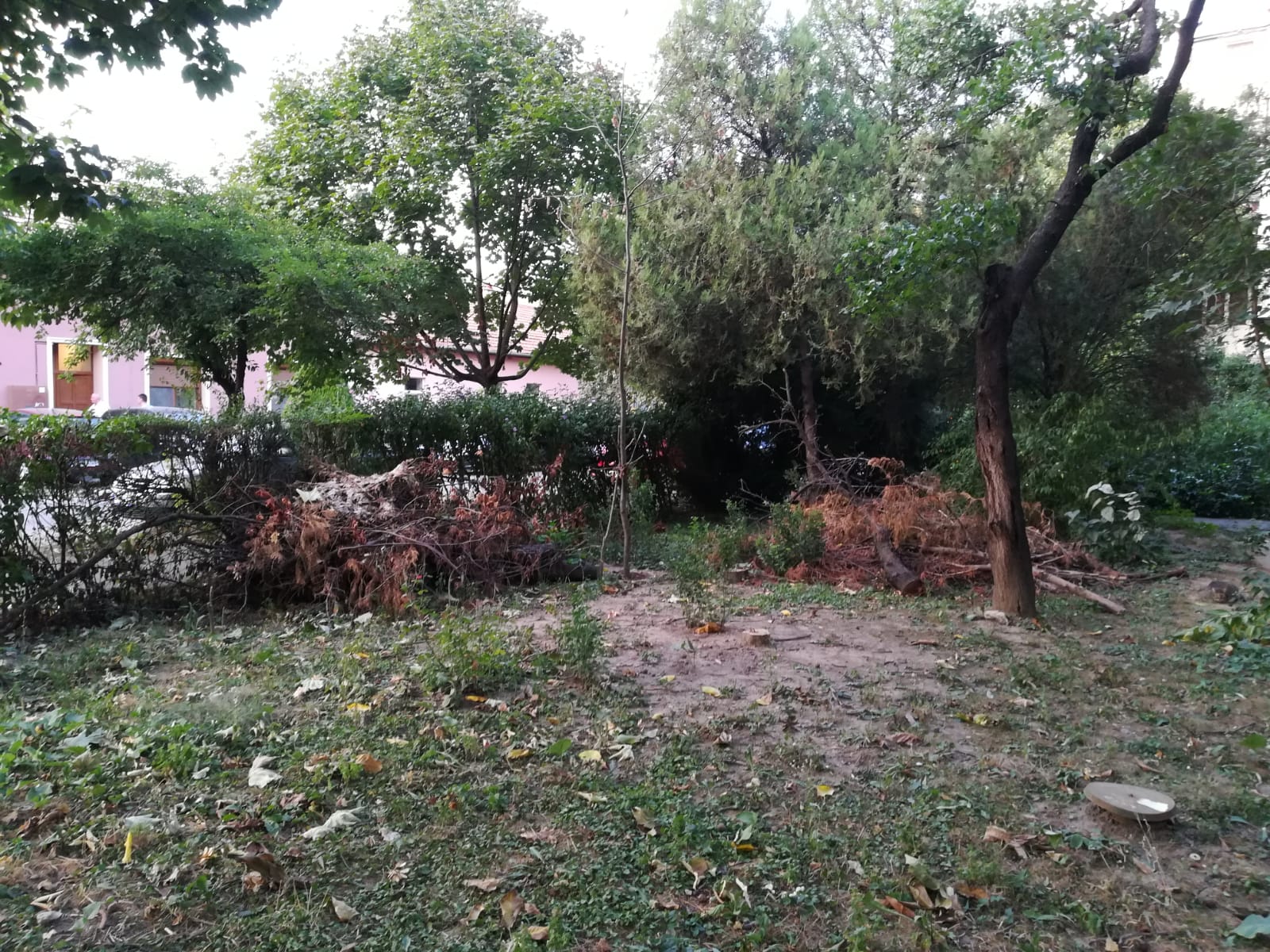 curatenie lipsa jeg mizerie calea sagului 1