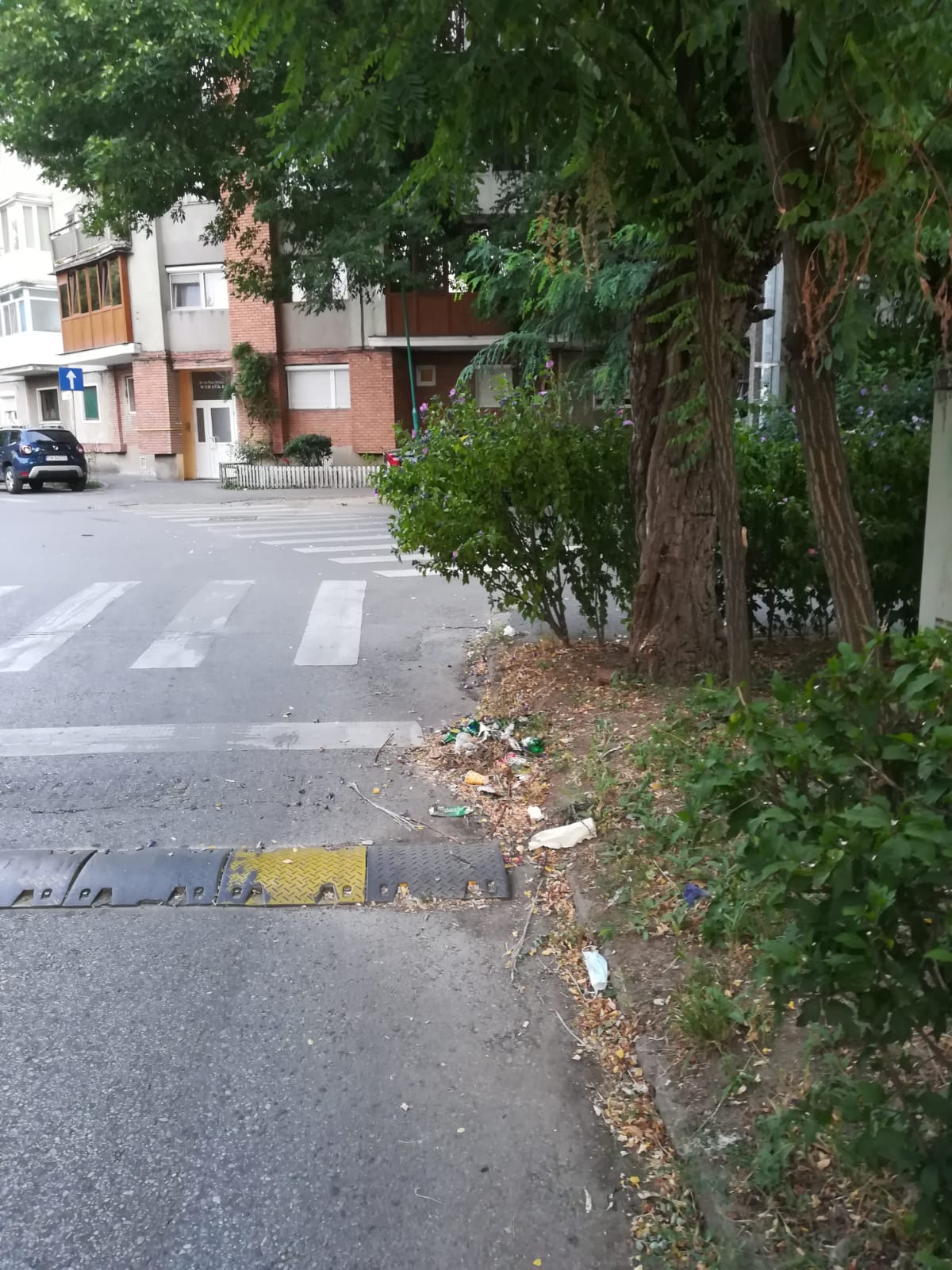 curatenie lipsa jeg mizerie calea sagului 2