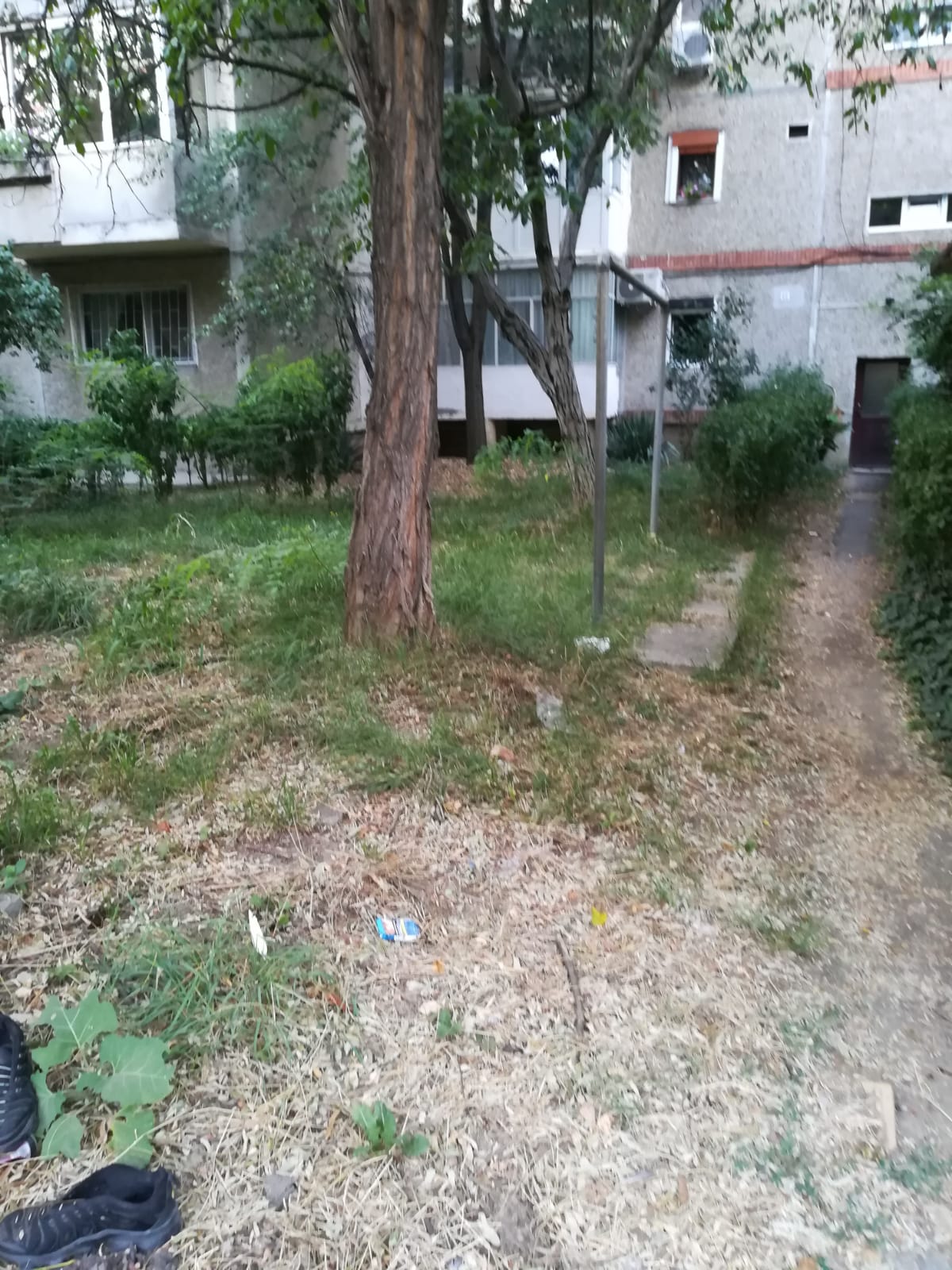 curatenie lipsa jeg mizerie calea sagului 3