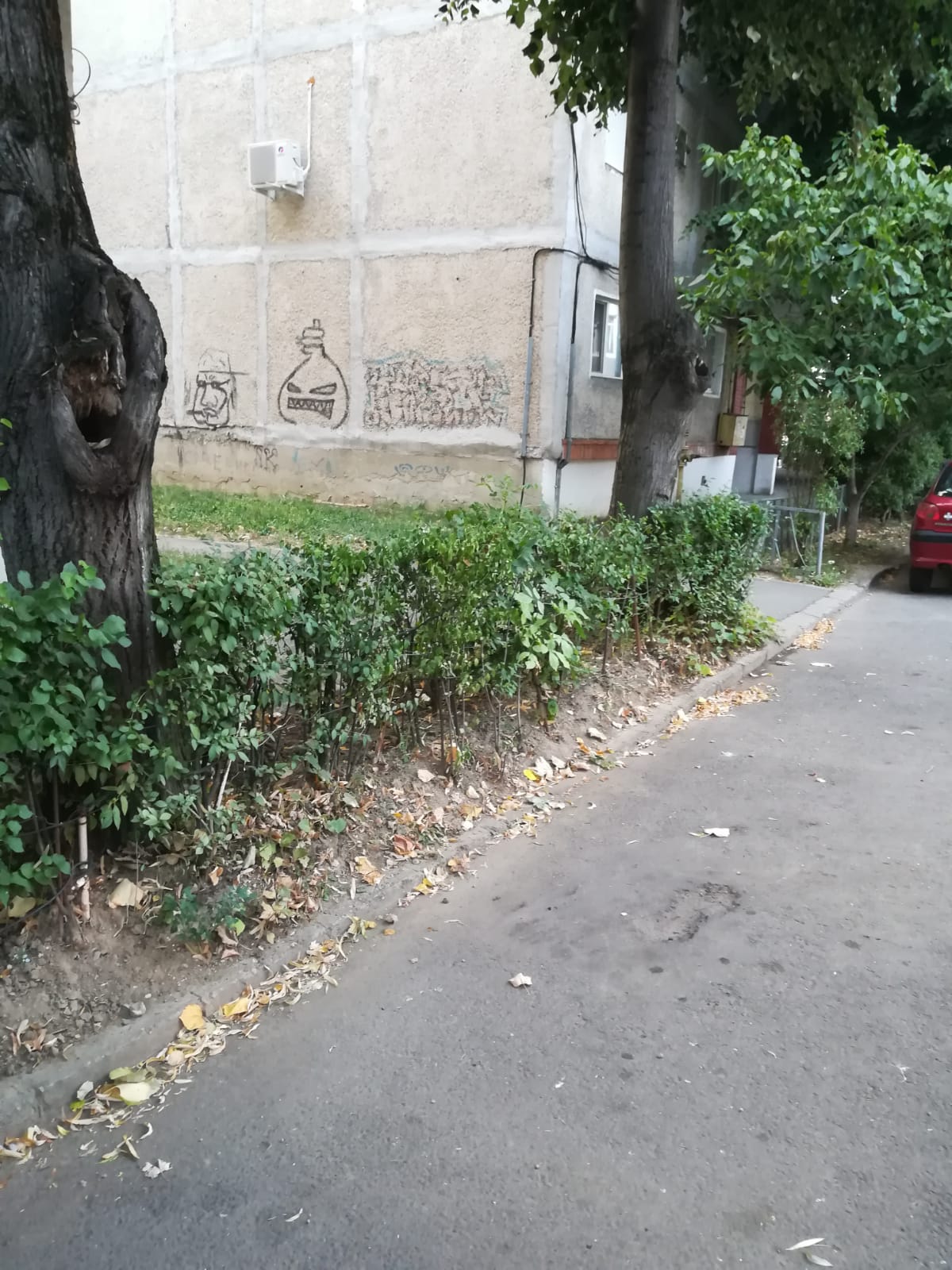 curatenie lipsa jeg mizerie calea sagului 5