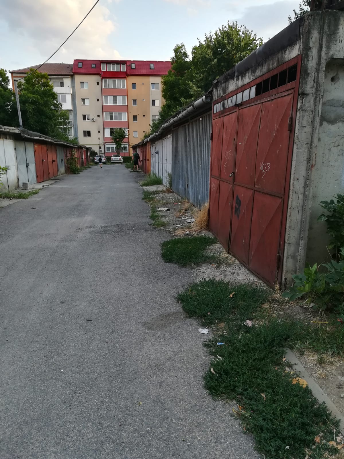 curatenie lipsa jeg mizerie calea sagului 6