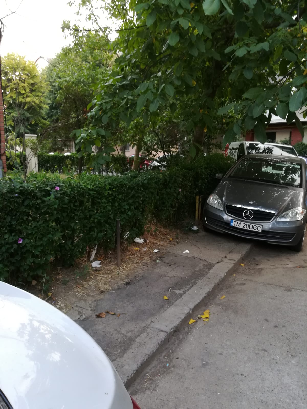 curatenie lipsa jeg mizerie calea sagului 7