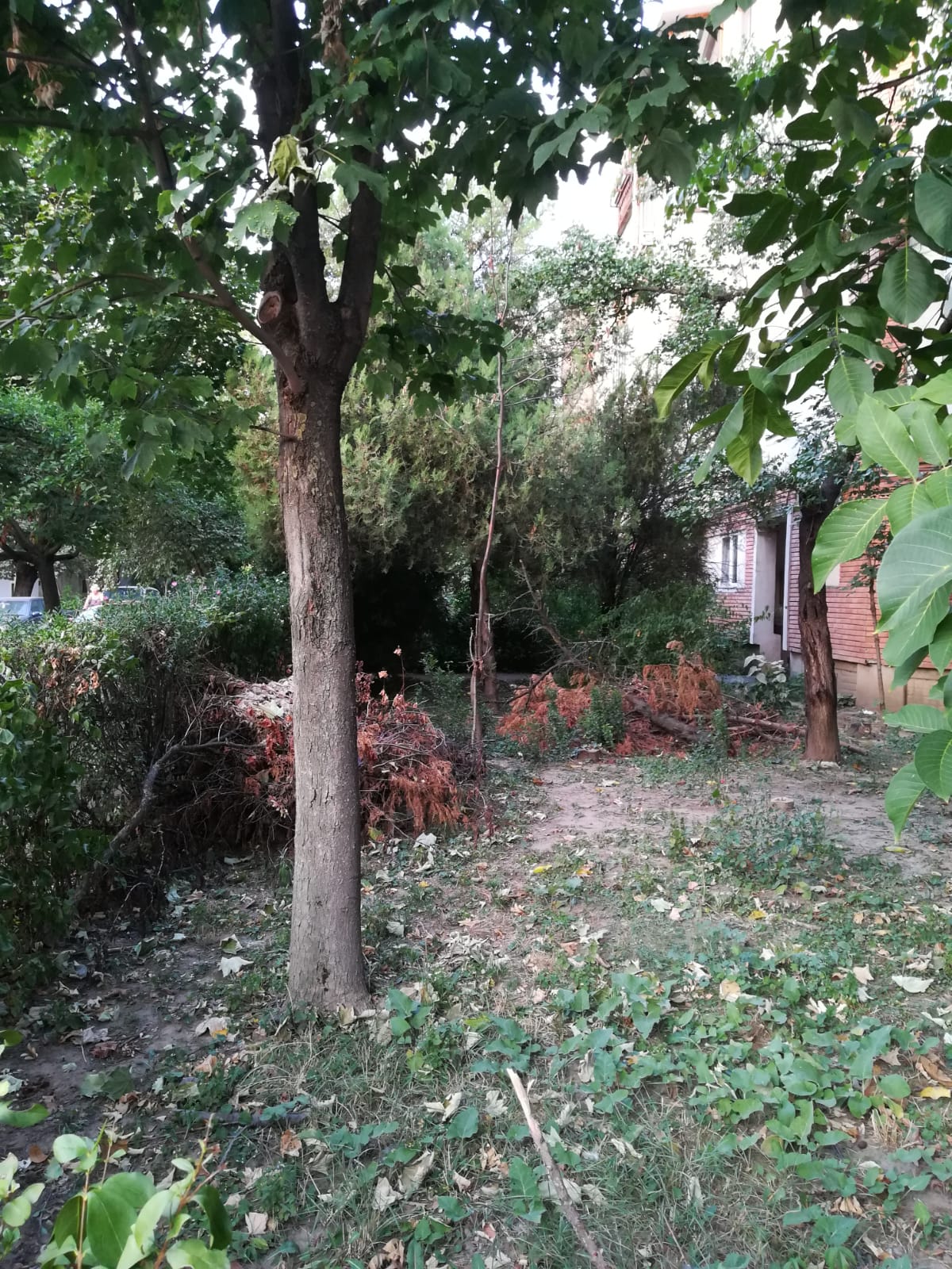 curatenie lipsa jeg mizerie calea sagului 9