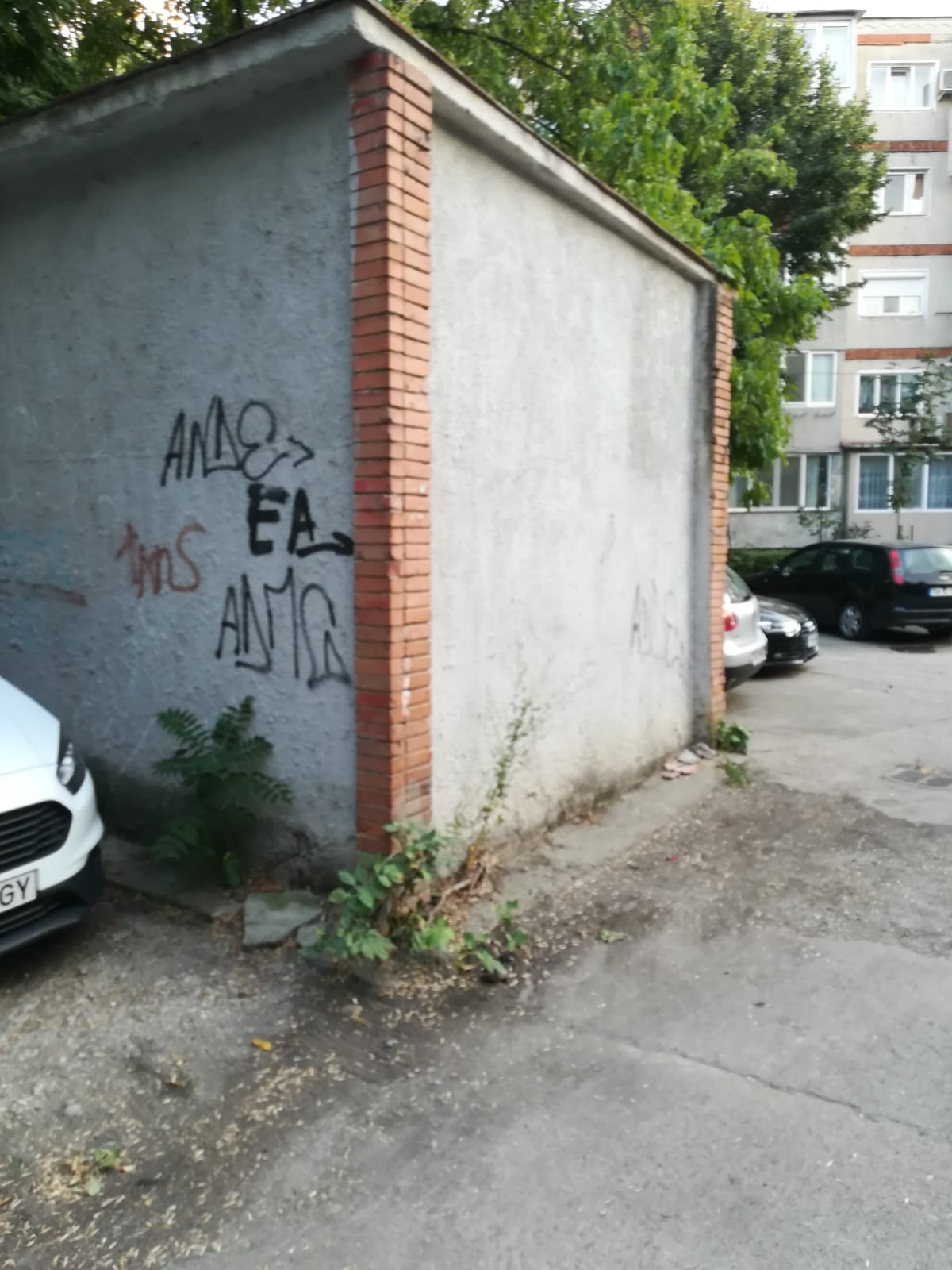 curatenie lipsa jeg mizerie calea sagului 10