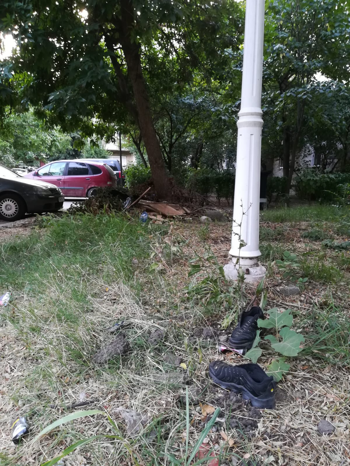 curatenie lipsa jeg mizerie calea sagului 11