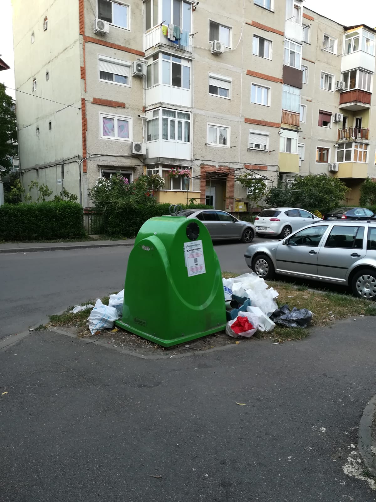 curatenie lipsa jeg mizerie calea sagului 13