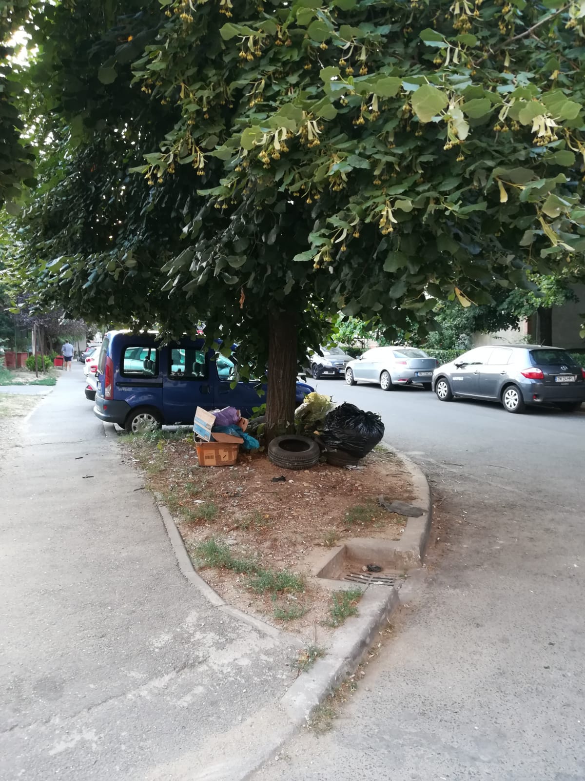 curatenie lipsa jeg mizerie calea sagului 15