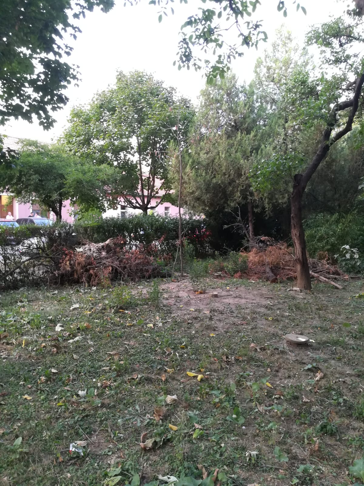 curatenie lipsa jeg mizerie calea sagului 16