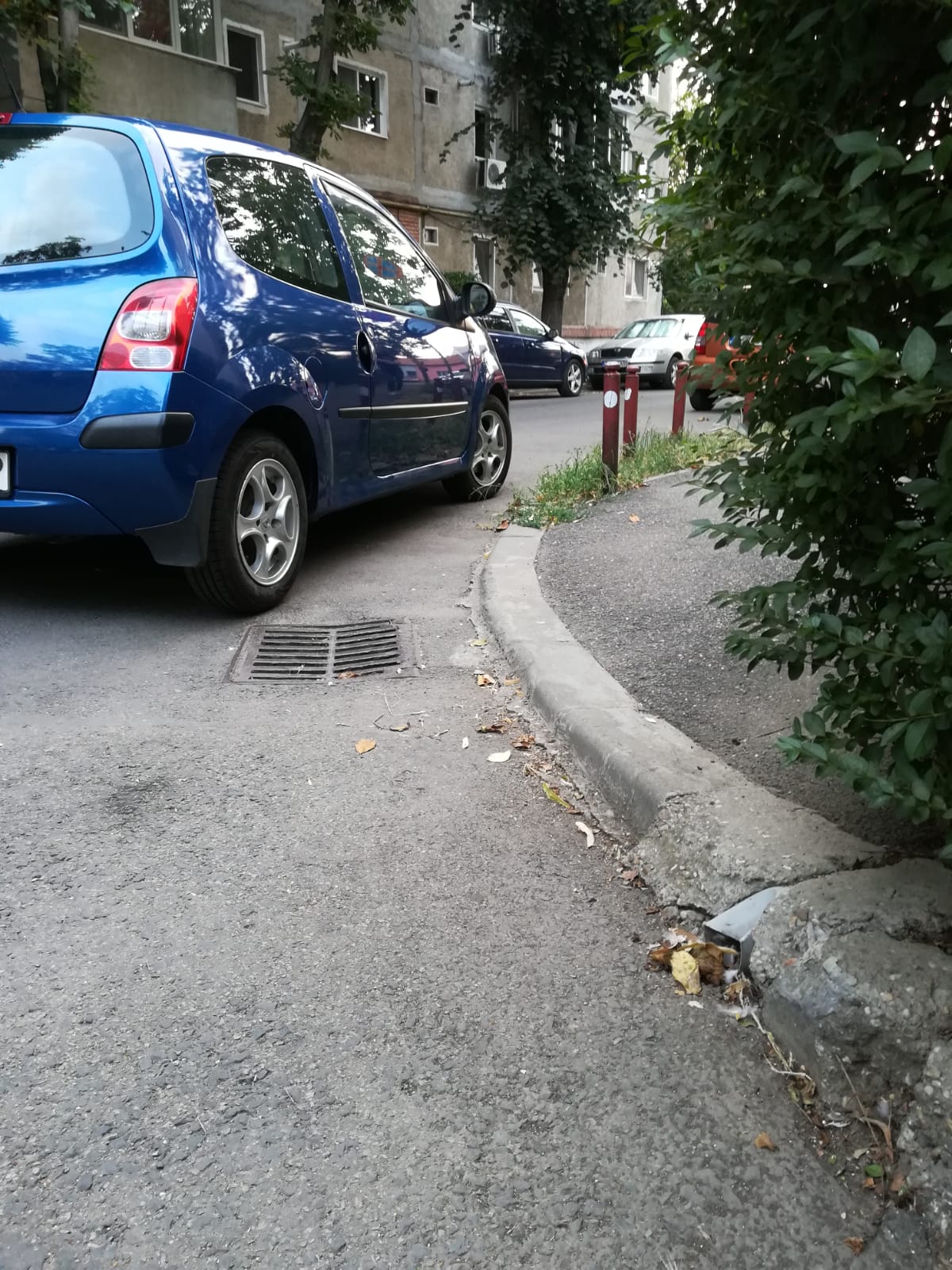 curatenie lipsa jeg mizerie calea sagului 18