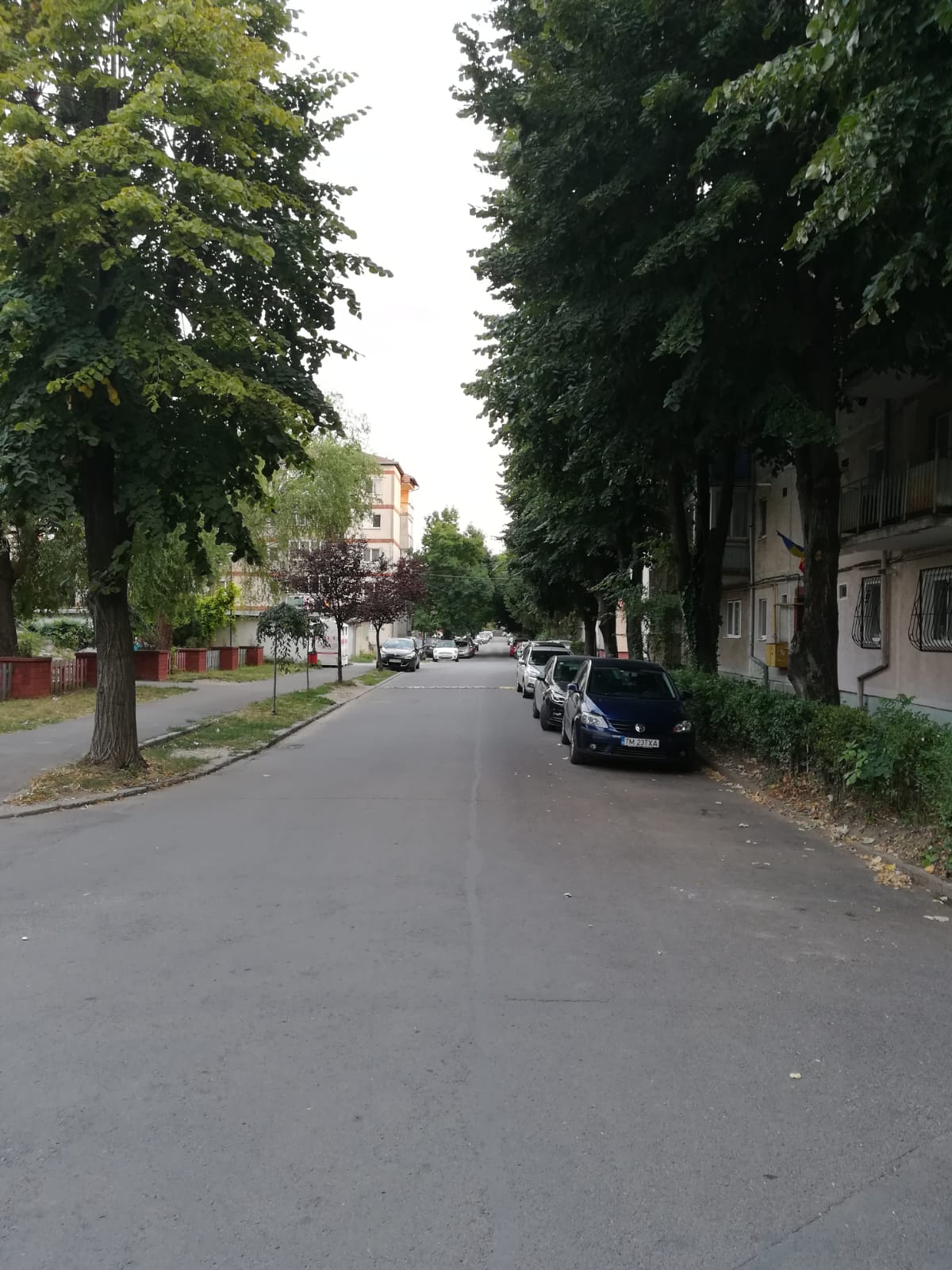 curatenie lipsa jeg mizerie calea sagului 19