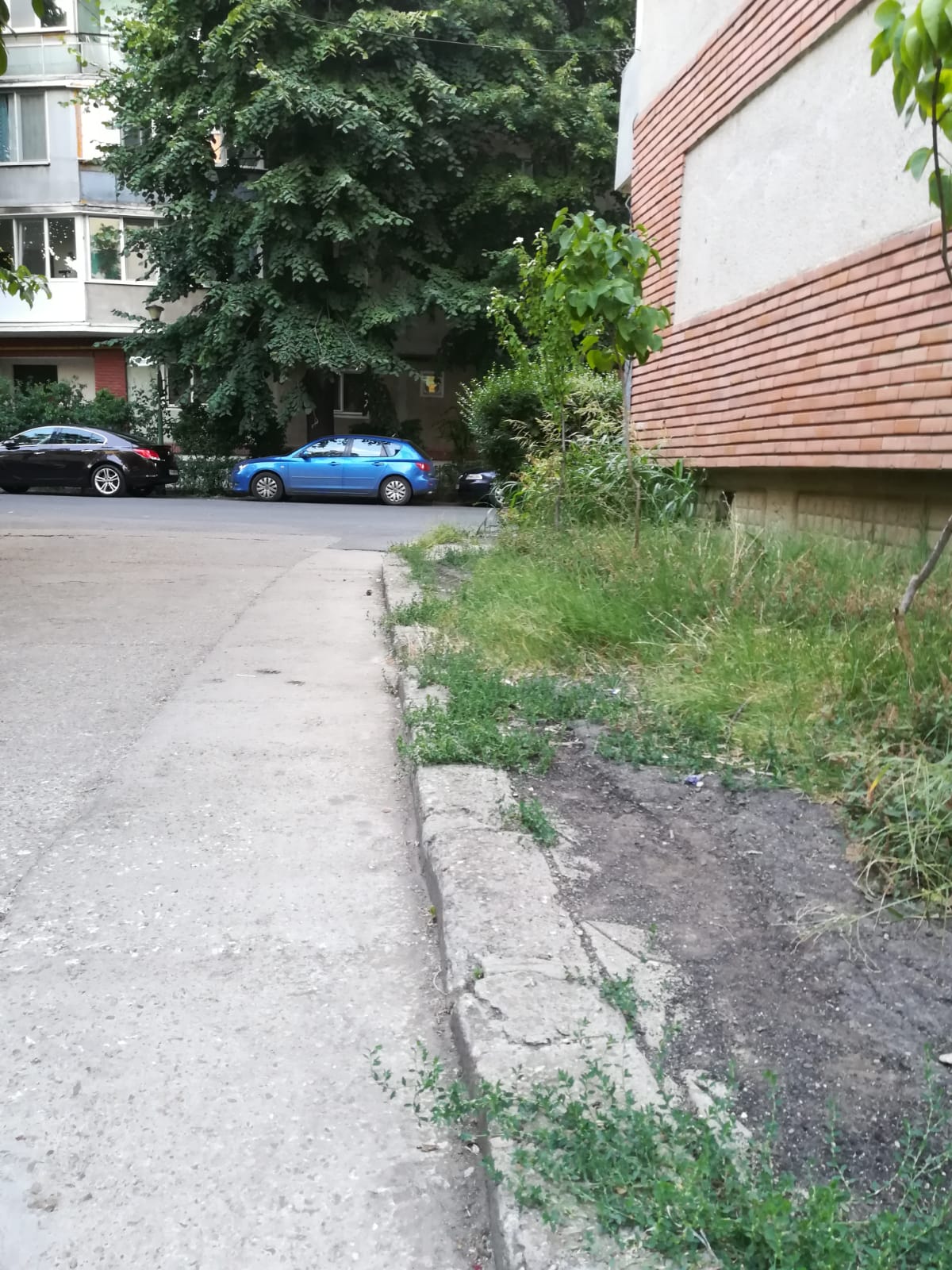 curatenie lipsa jeg mizerie calea sagului 20