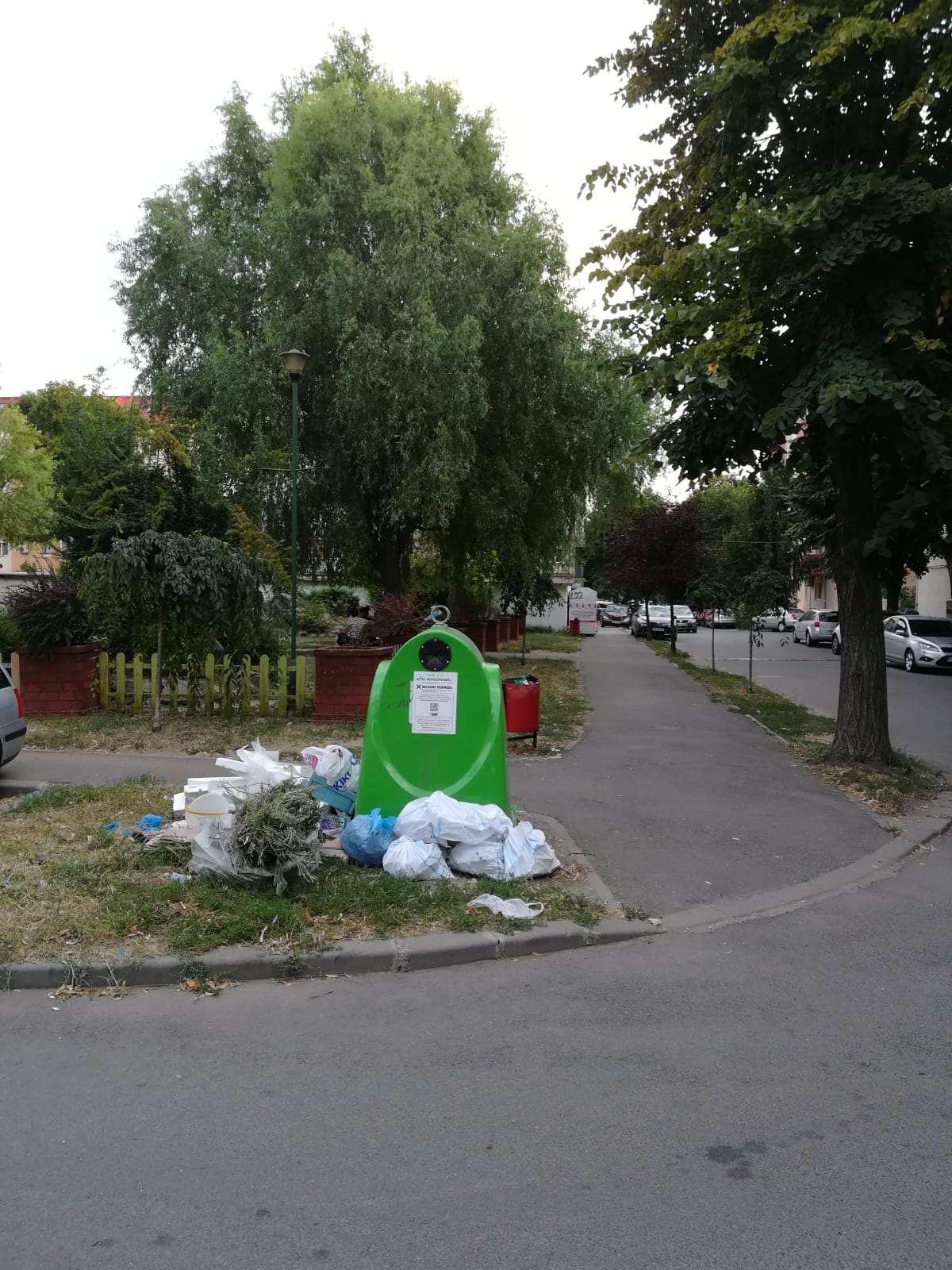 curatenie lipsa jeg mizerie calea sagului 22