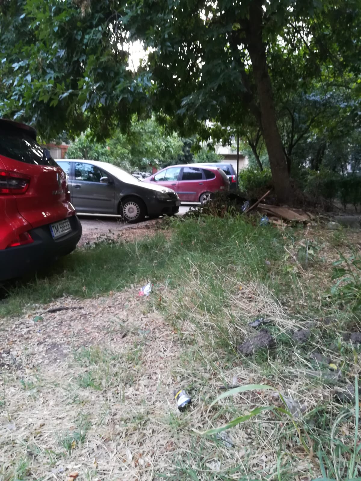 curatenie lipsa jeg mizerie calea sagului 23