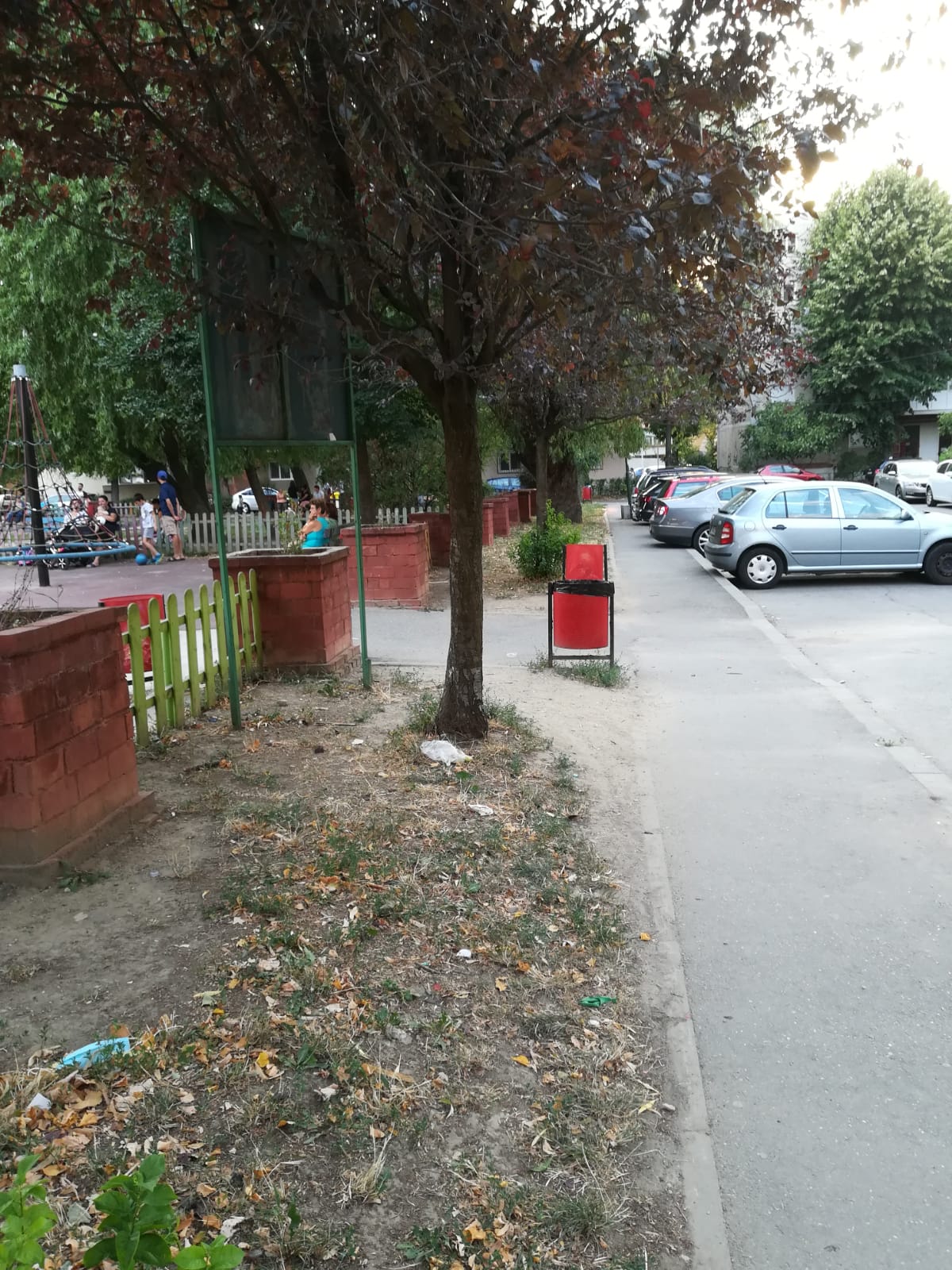 curatenie lipsa jeg mizerie calea sagului 24