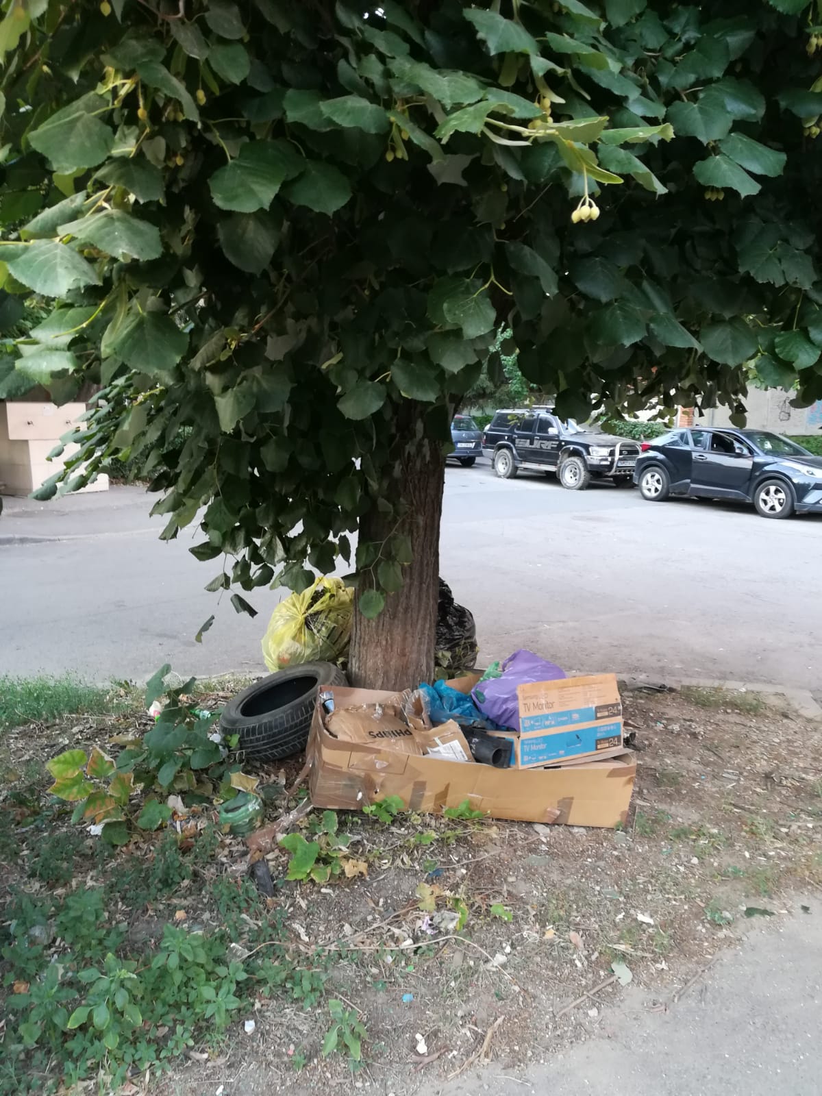 curatenie lipsa jeg mizerie calea sagului 26