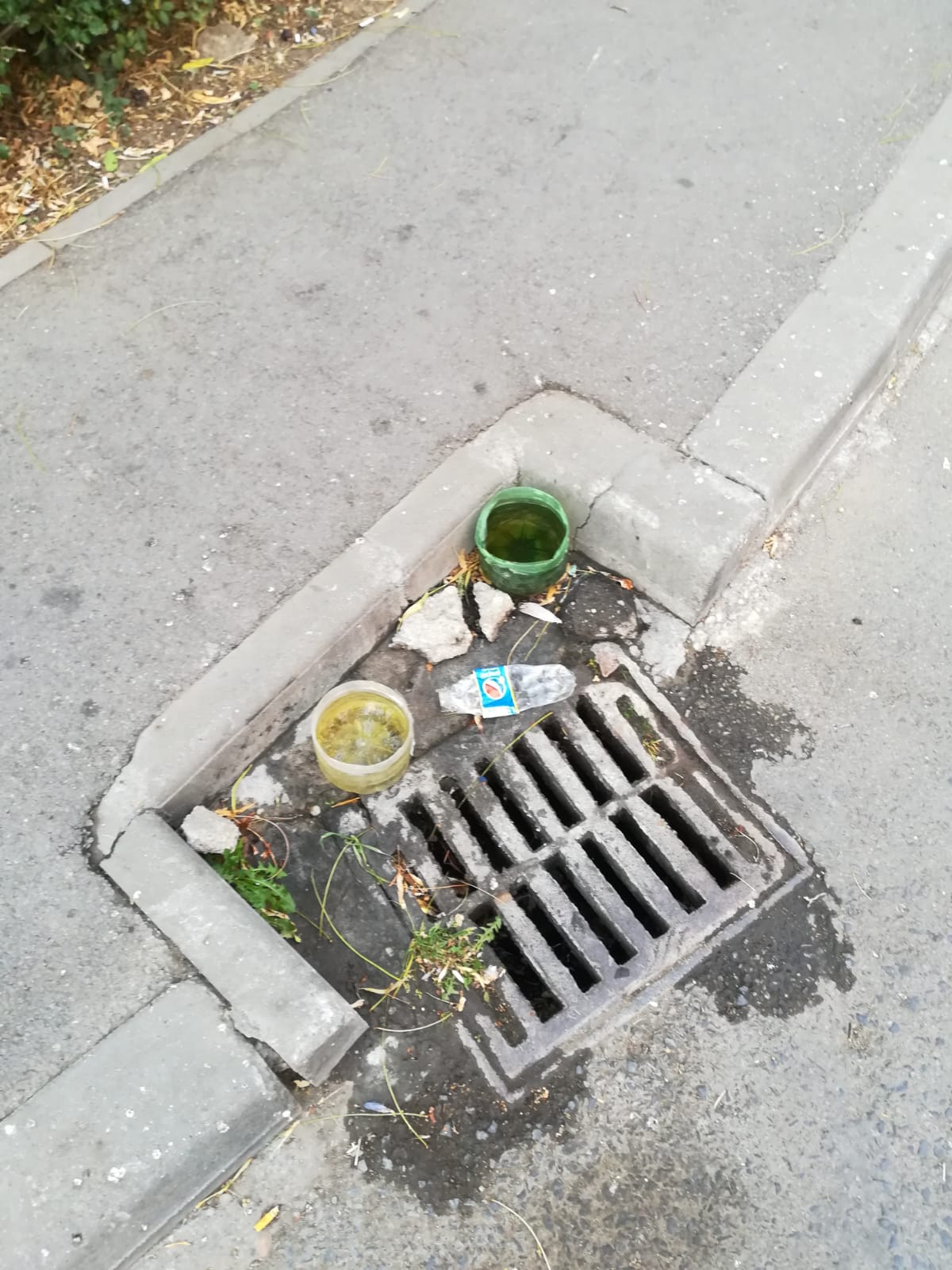 curatenie lipsa jeg mizerie calea sagului 27