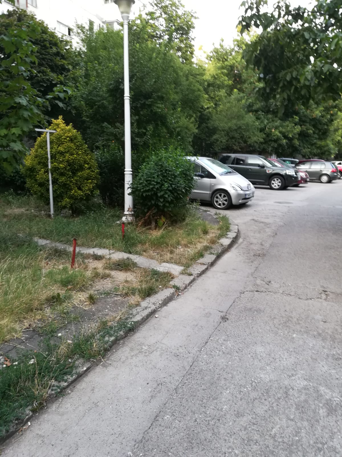 curatenie lipsa jeg mizerie calea sagului 28