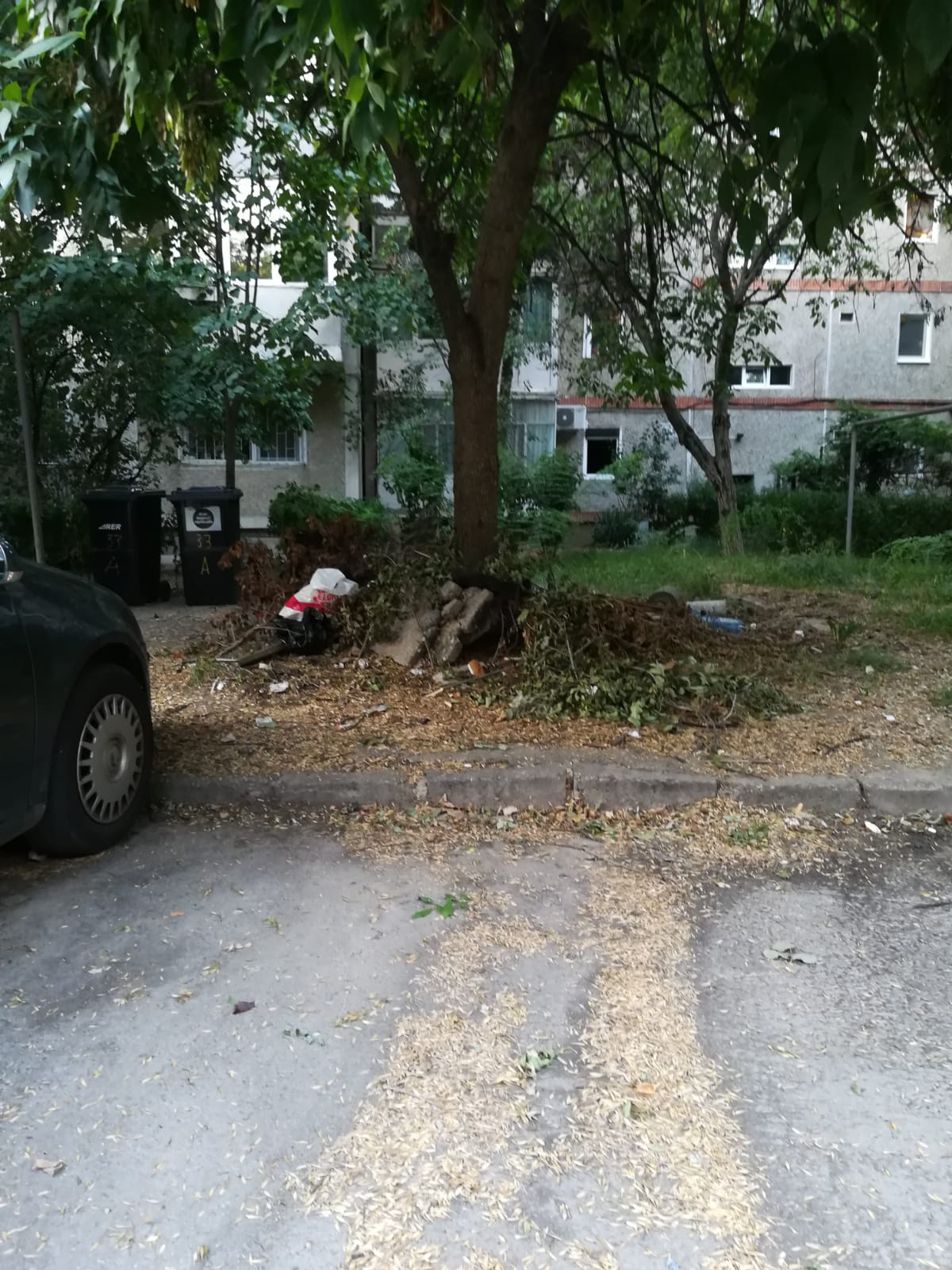 curatenie lipsa jeg mizerie calea sagului 29