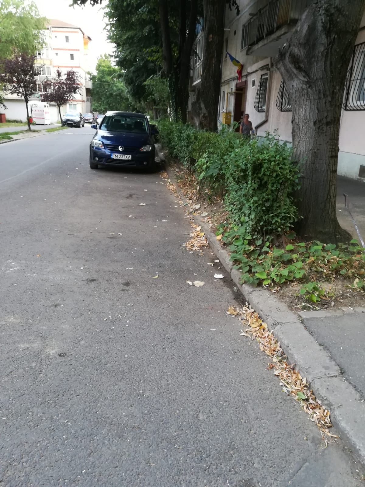 curatenie lipsa jeg mizerie calea sagului 31