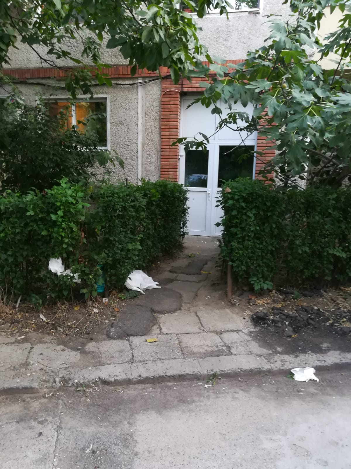 curatenie lipsa jeg mizerie calea sagului 33