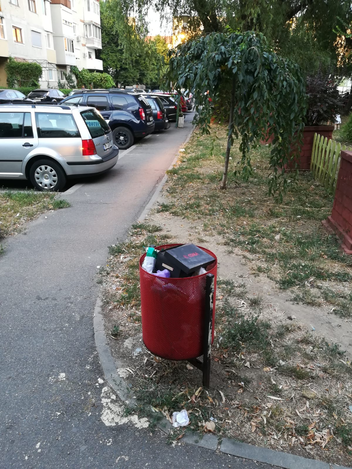 curatenie lipsa jeg mizerie calea sagului 34