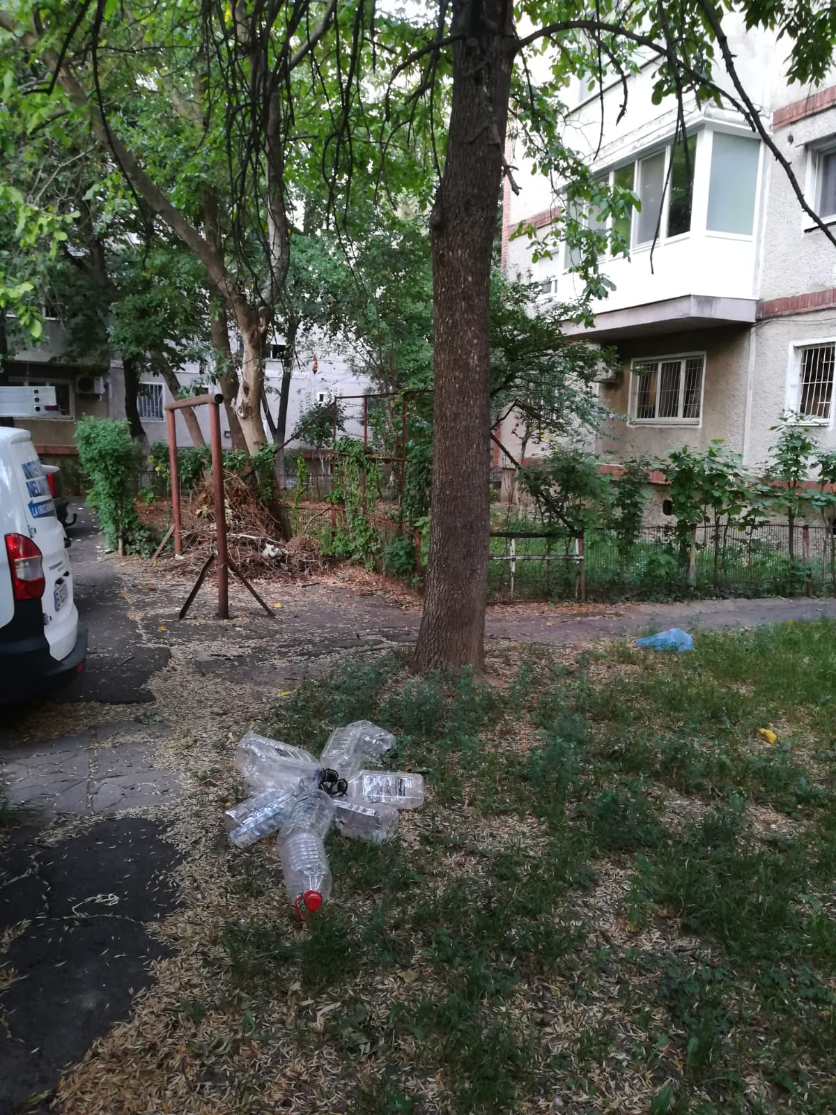 curatenie lipsa jeg mizerie calea sagului 37