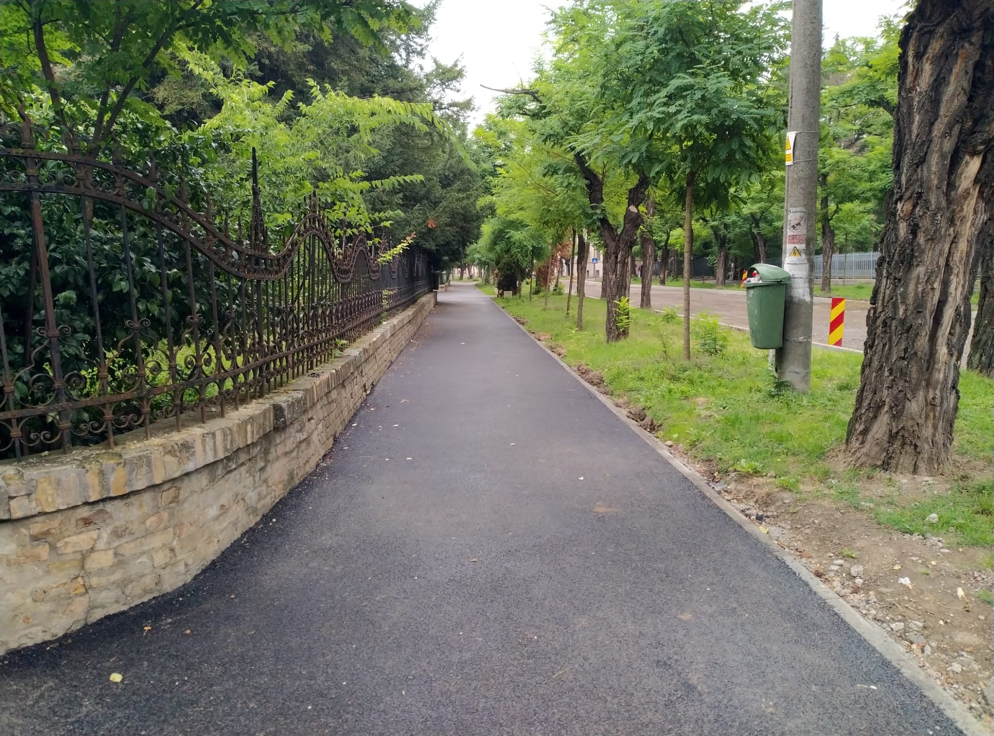asfalt trotuare centru timisoara foto ruben latcau 3