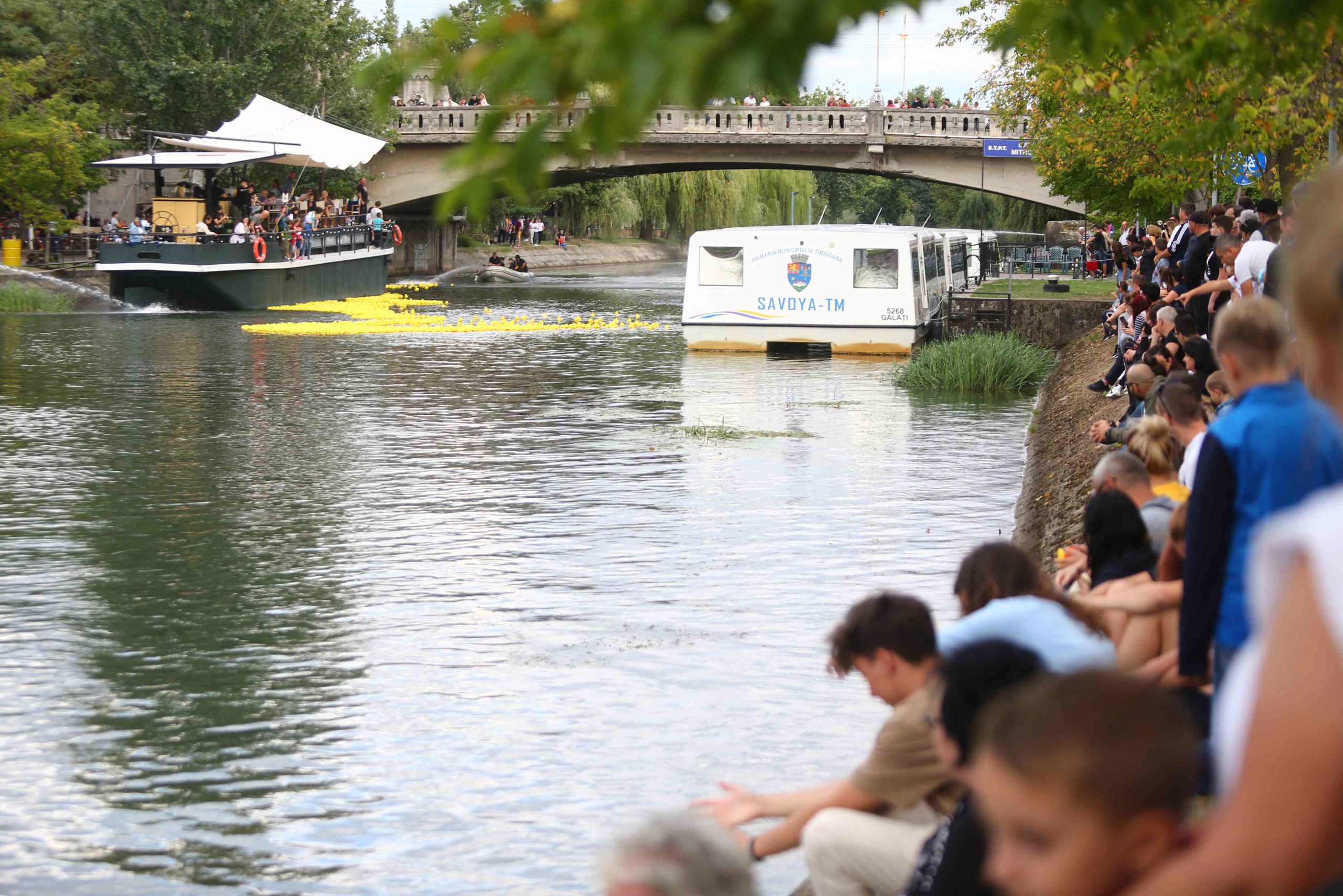 Bega Bulevard cursa ratustelor 19 sept 2021 (5)