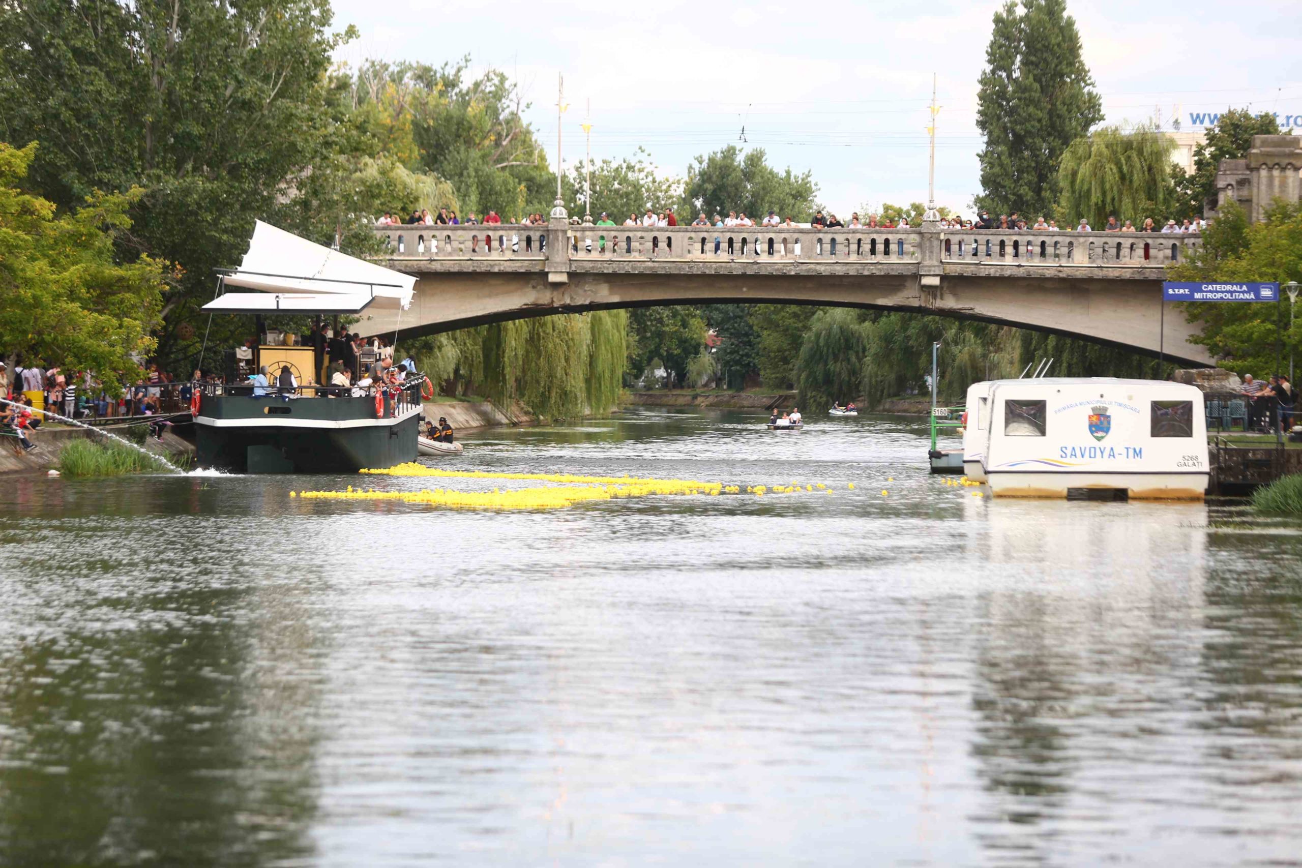 Bega Bulevard cursa ratustelor 19 sept 2021 (7)