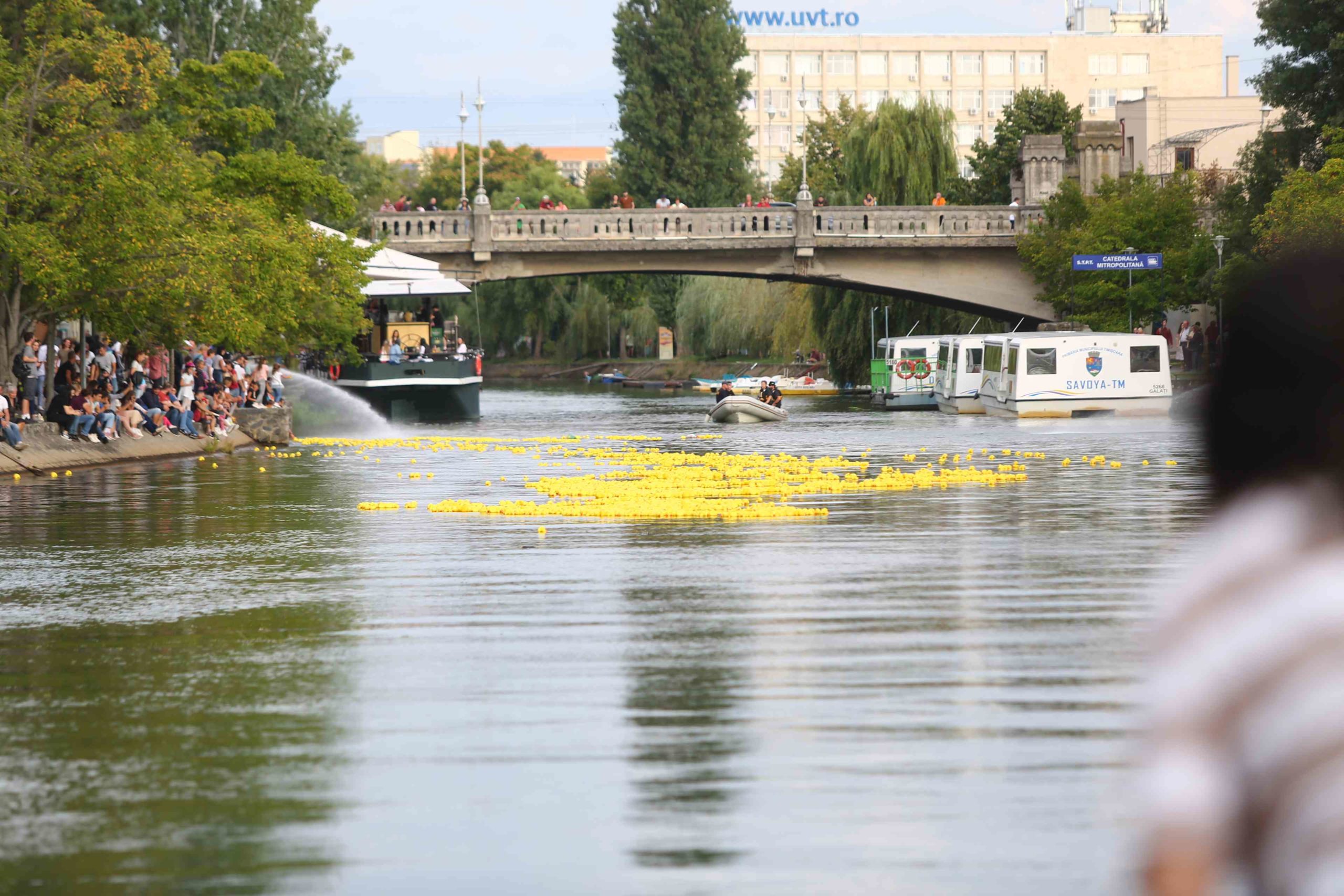 Bega Bulevard cursa ratustelor 19 sept 2021 (12)