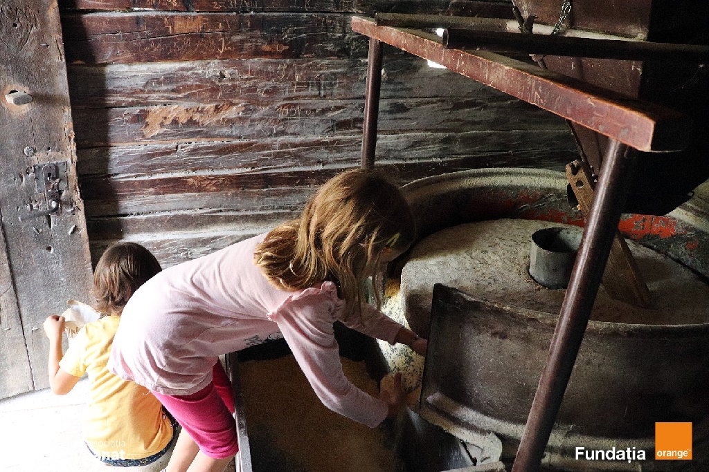 mori de apa rudaria traseu finalizat (2)