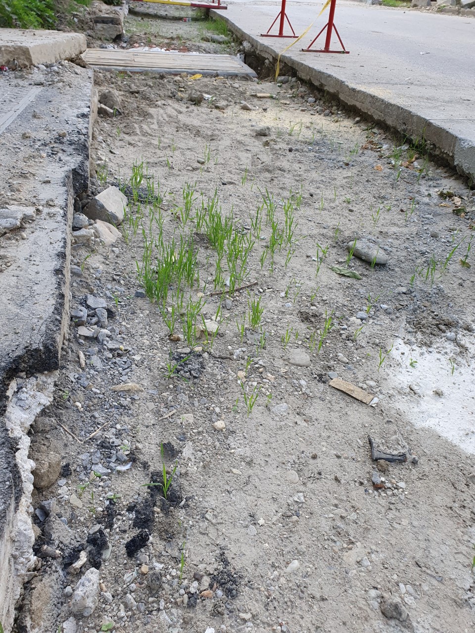 santier retehnologizare colterm aleea citadelei foto cititor tion 8