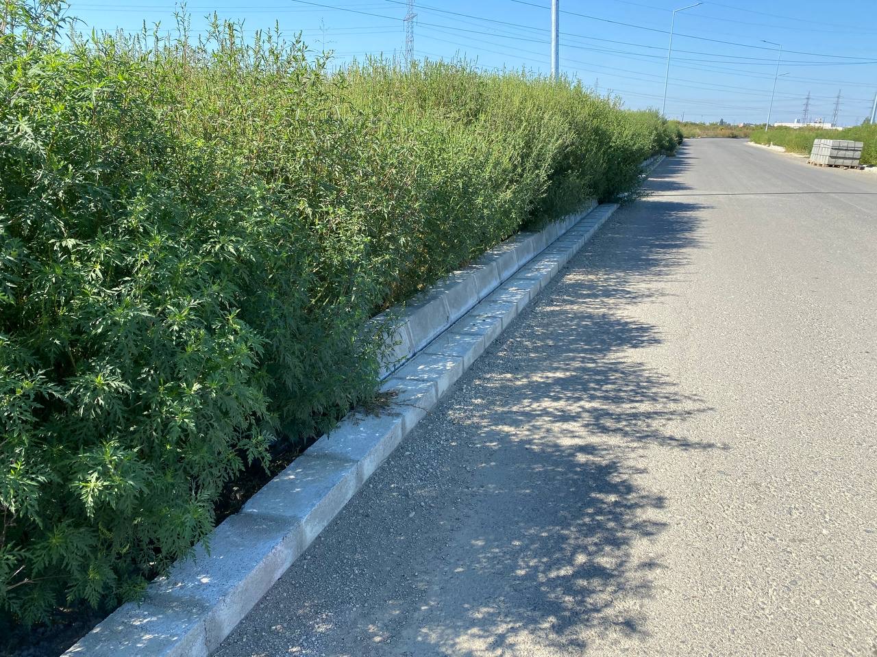 drumul boilor santier septembrie 2021 2