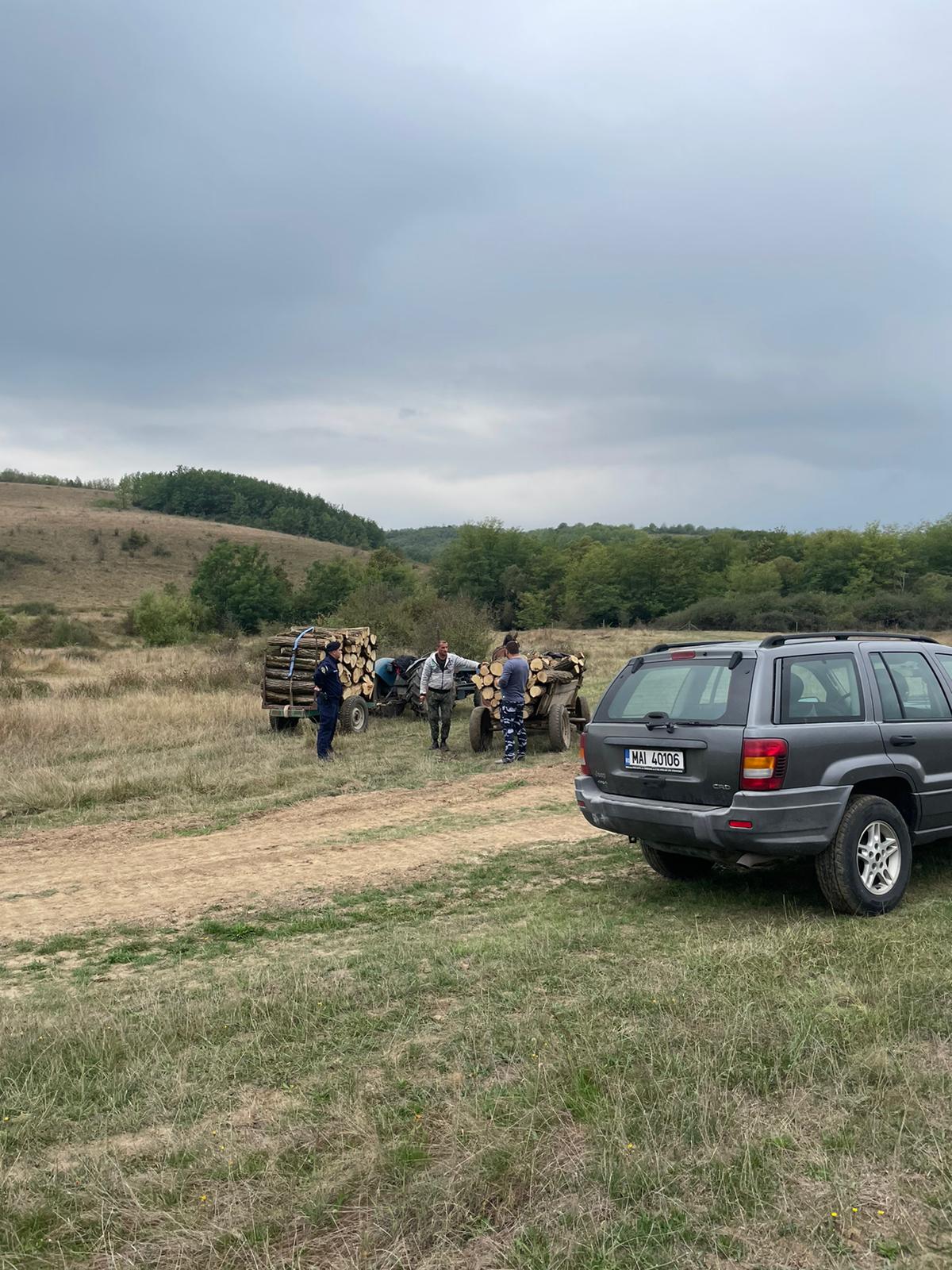 hoti lemne jandarmi ijj timis (7)